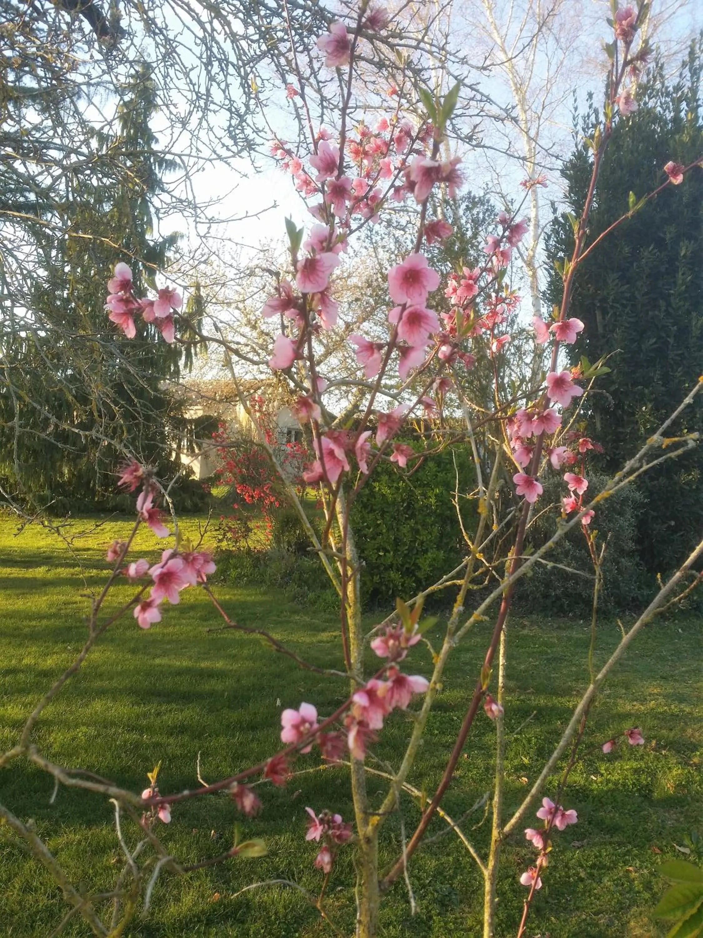 View (from property/room) in Chambres D'hôtes Anne-Marie