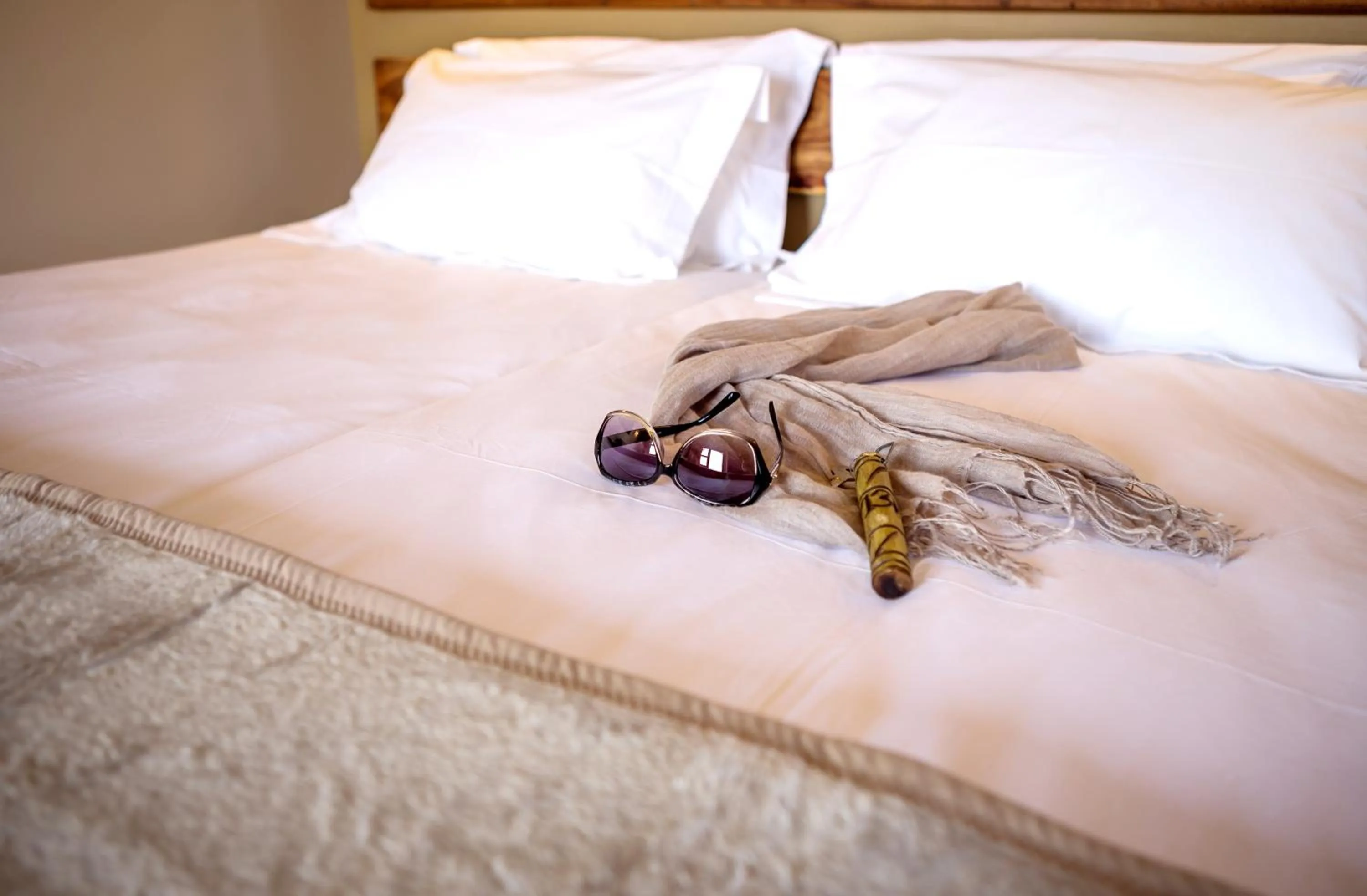 Bed in Desert Quiver Camp