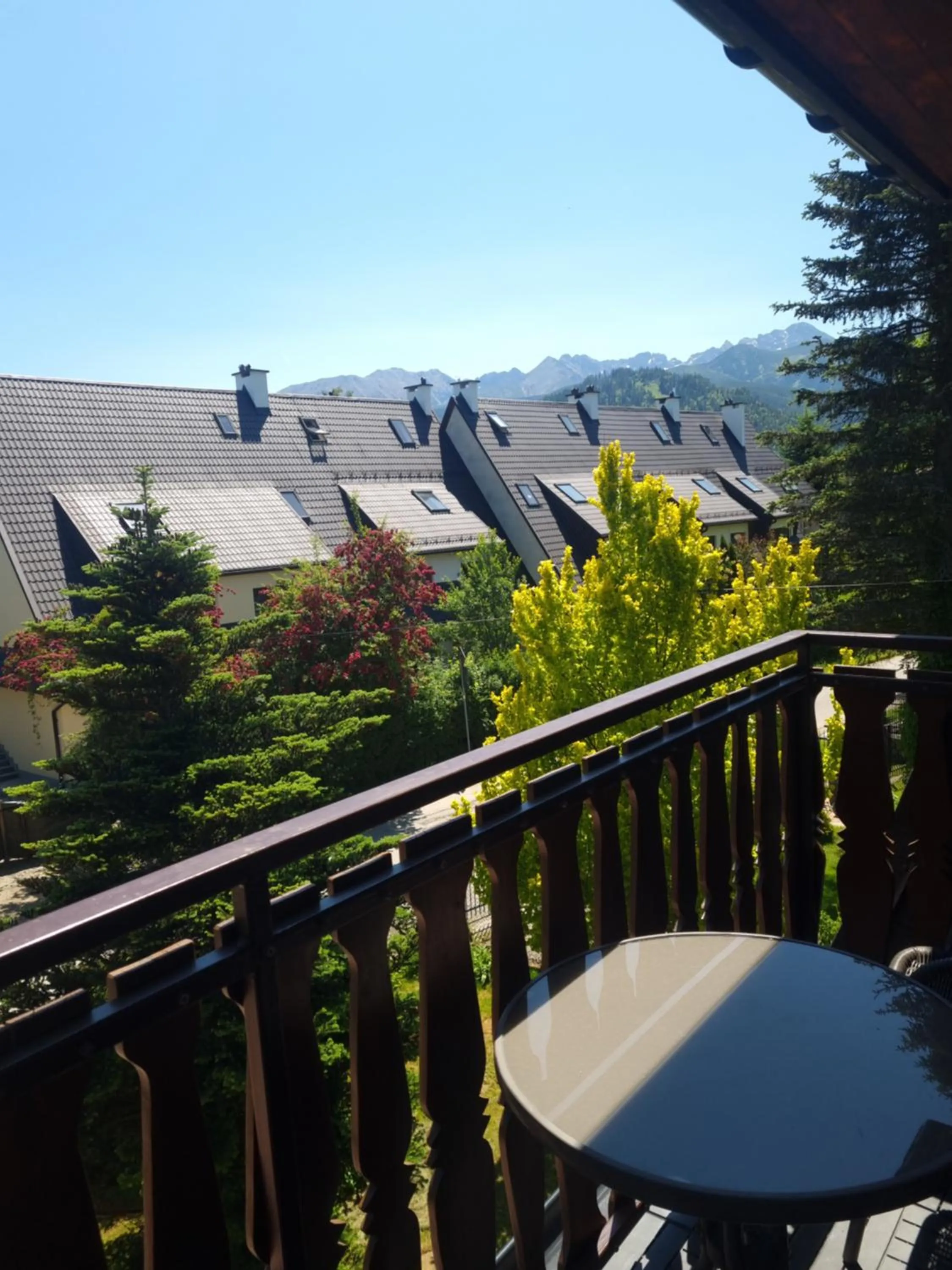 View (from property/room) in Willa Antałówka Apartamenty