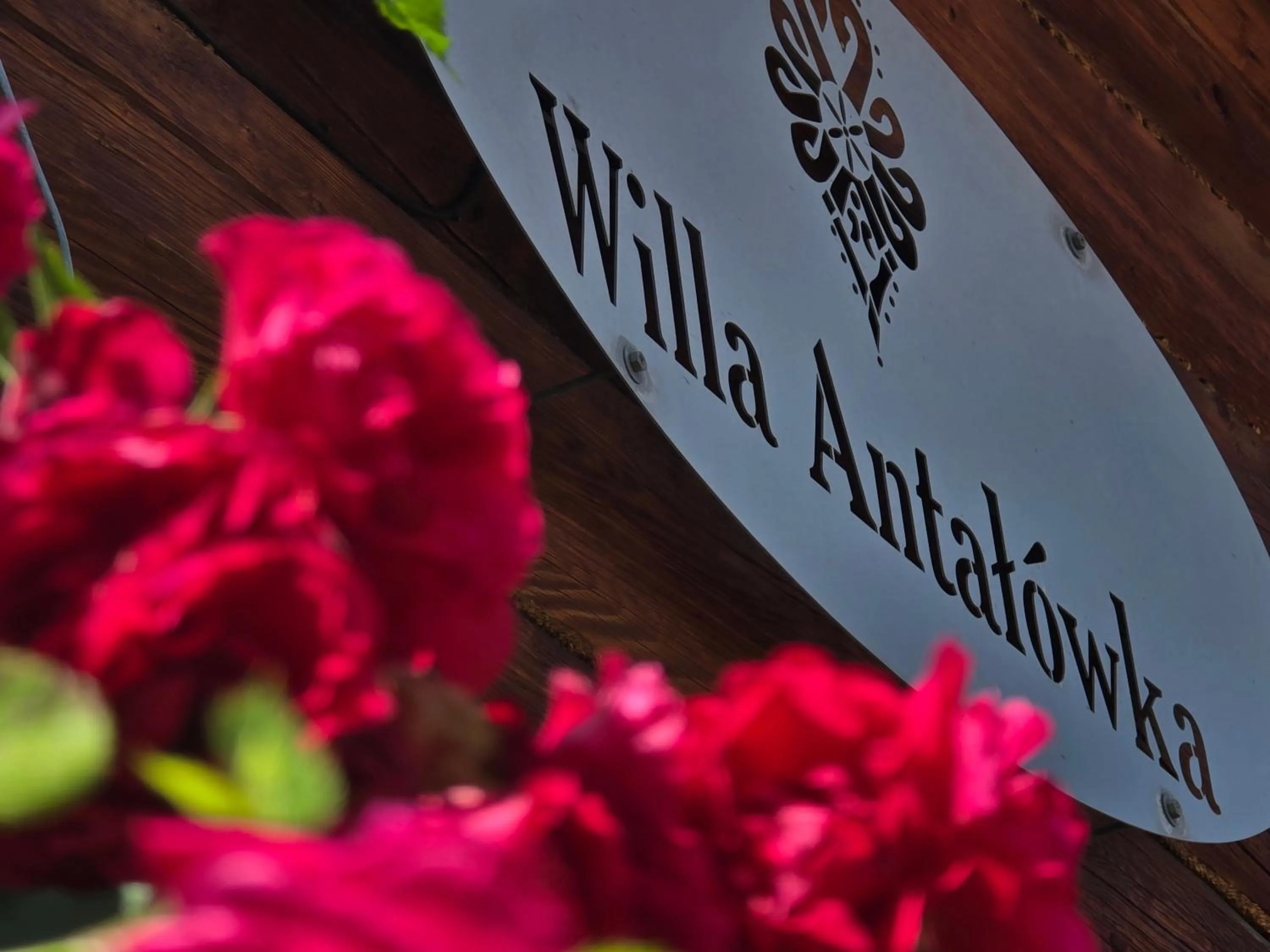 Property building in Willa Antałówka Apartamenty