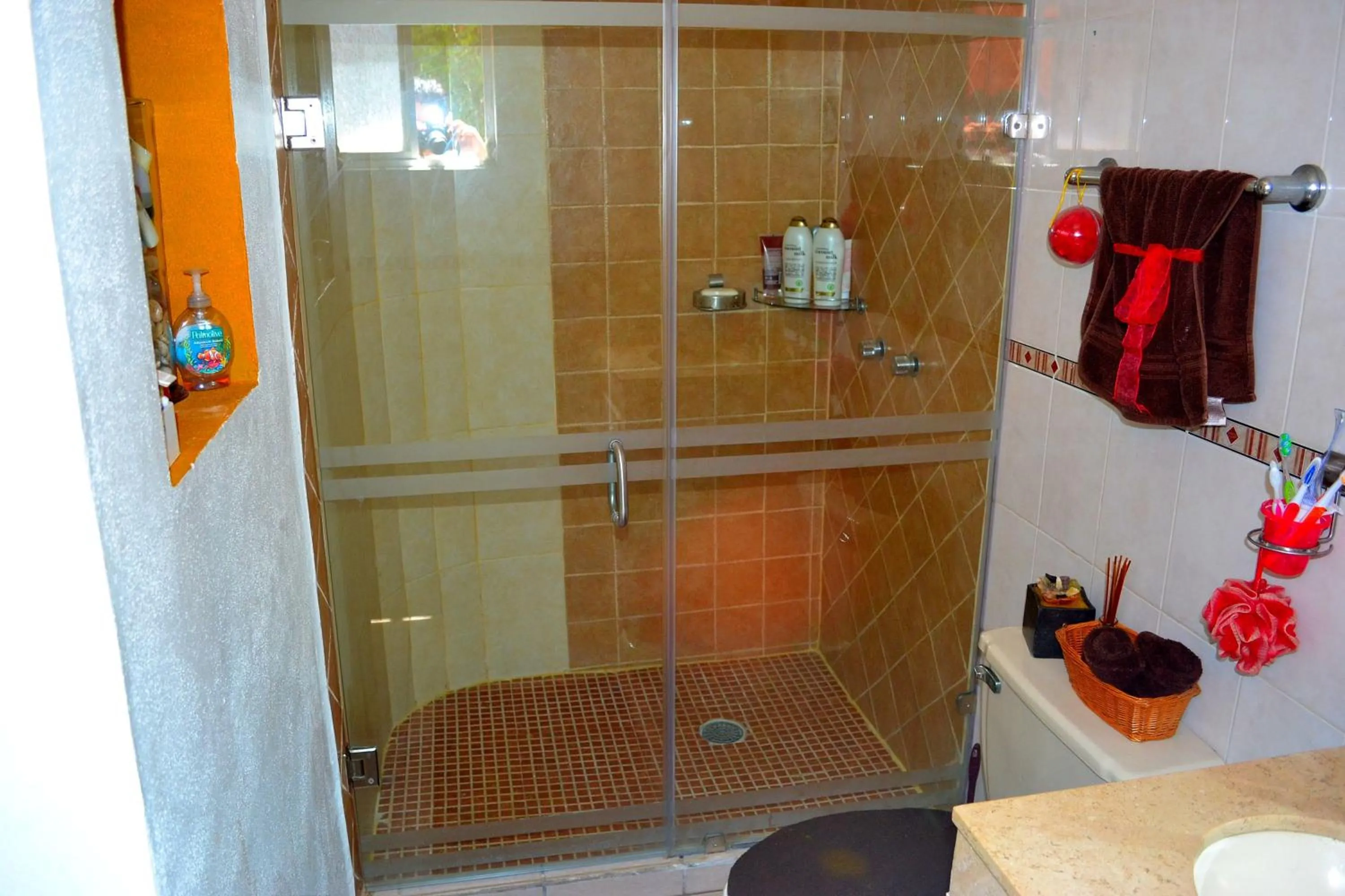 Bathroom in Condo Selva Alta