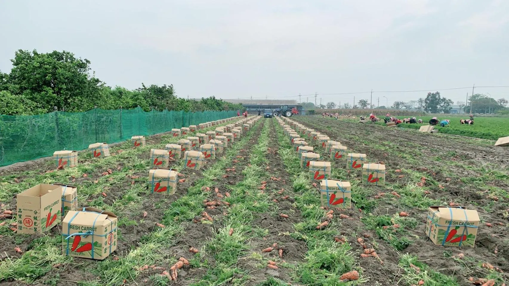 Natural landscape in Hoin 4