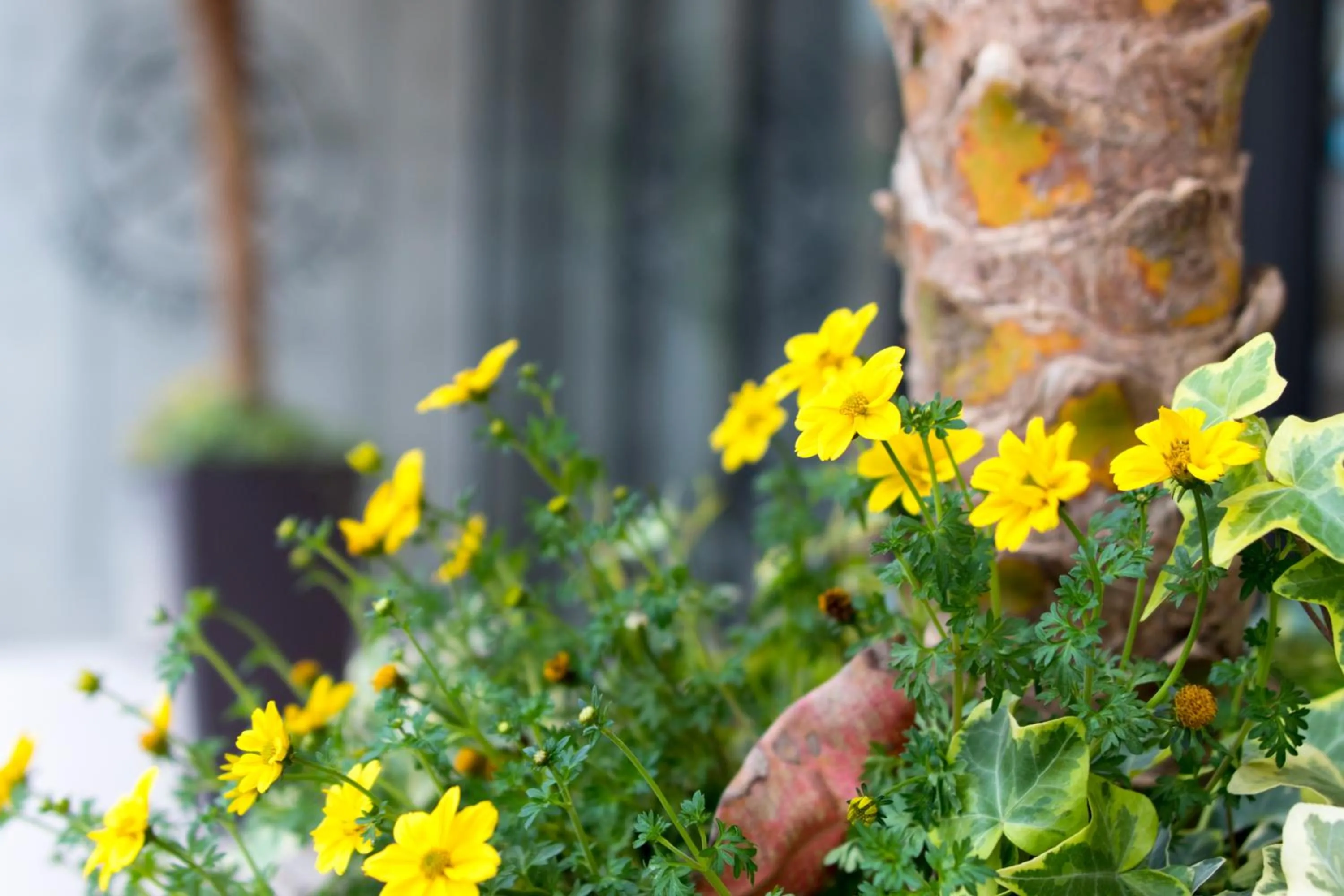 Facade/entrance in NAHA-WEST INN