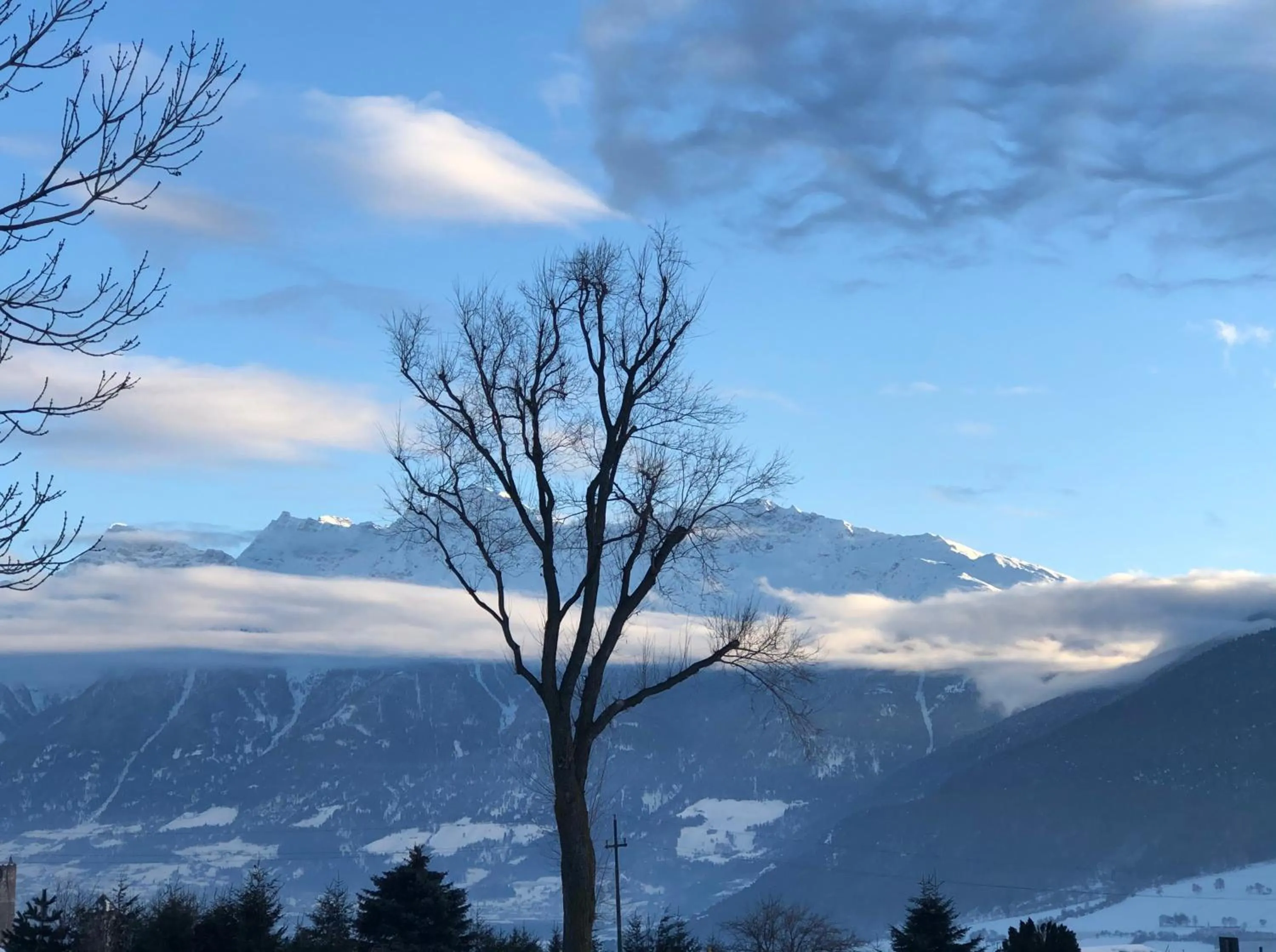Natural landscape in Pension Florian