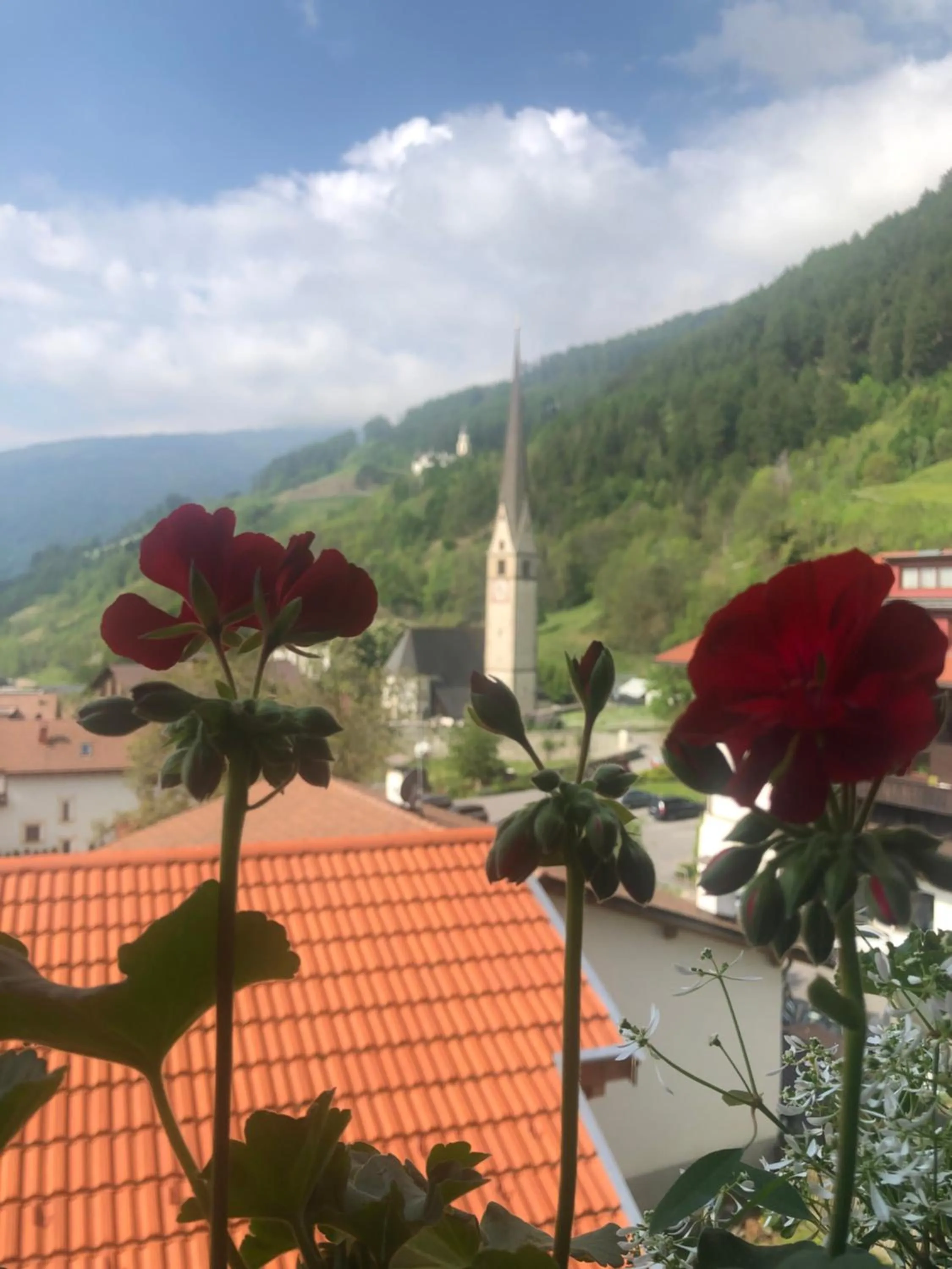 Mountain view in Pension Florian