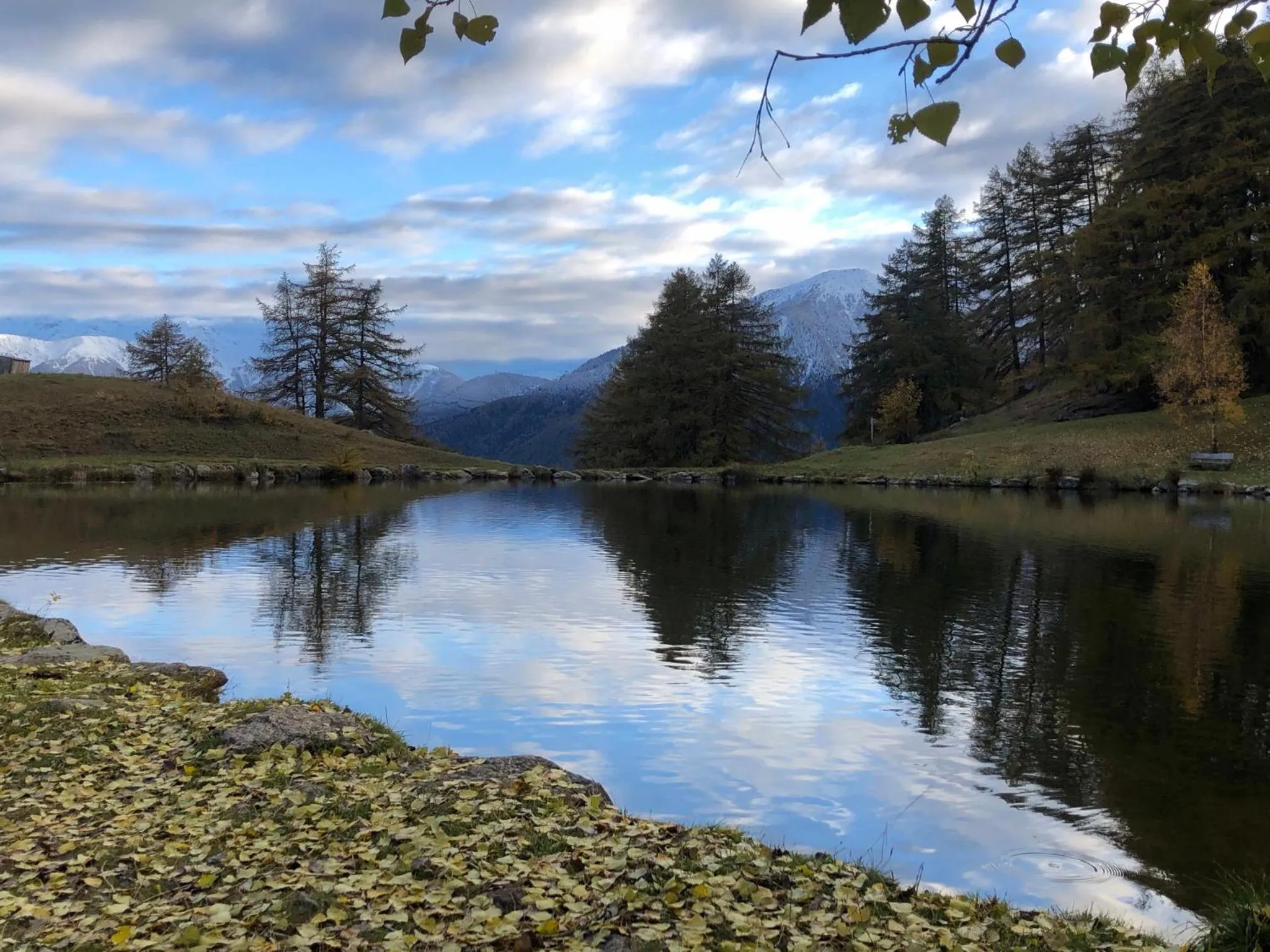 Staff in Pension Florian