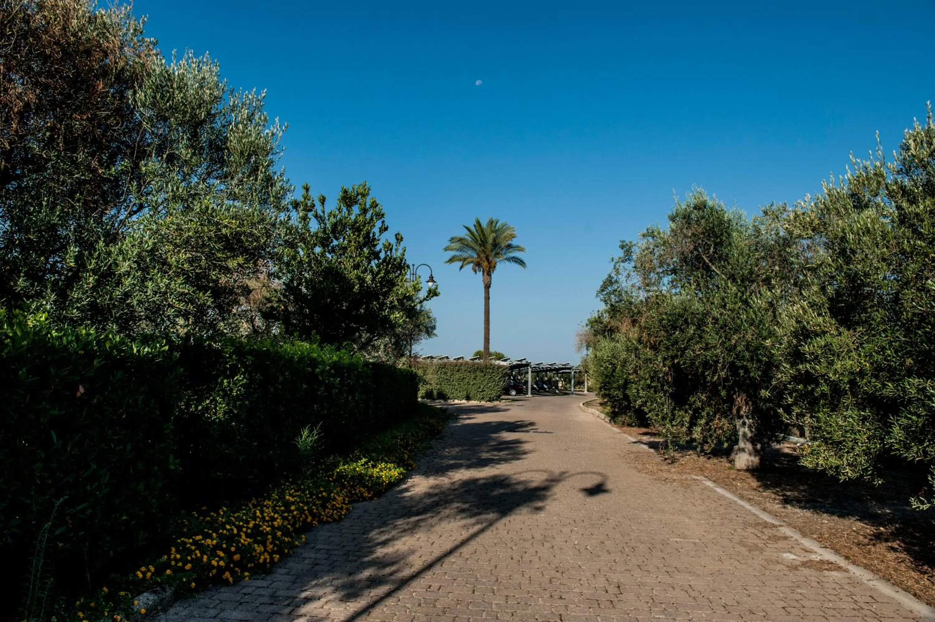 Garden in AmareGold Tenuta La Baronessa Resort