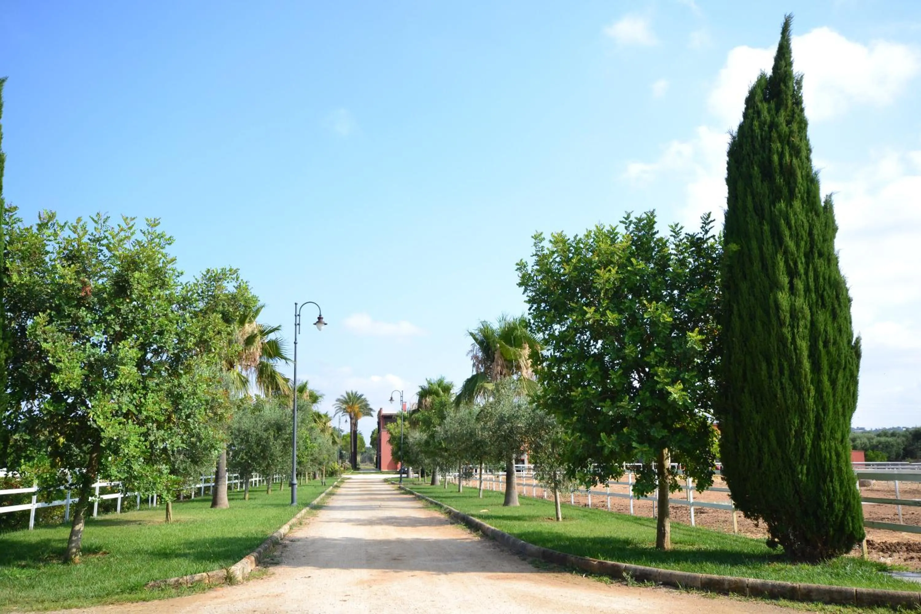 Garden view in AmareGold Tenuta La Baronessa Resort