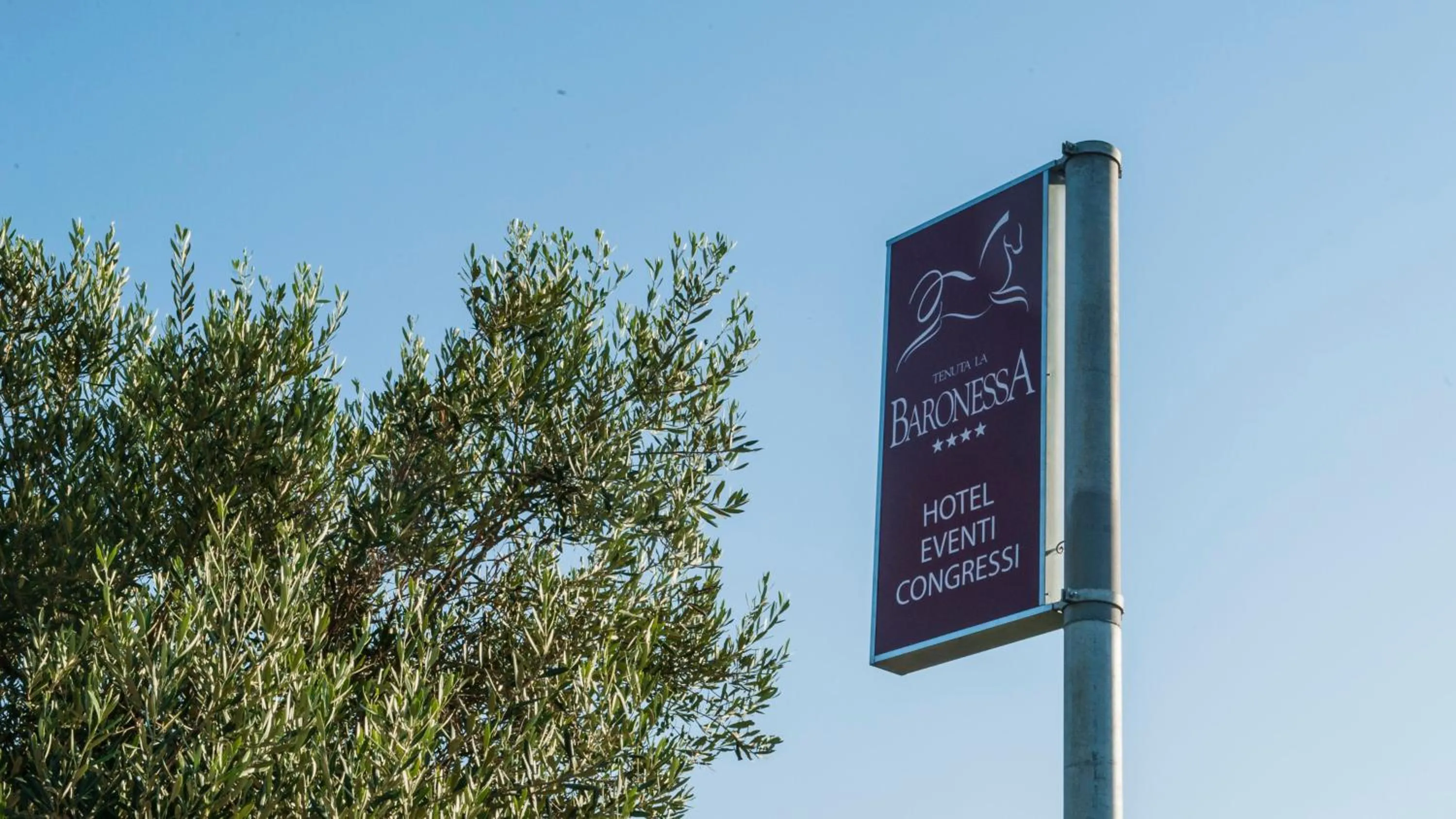 Property logo or sign in AmareGold Tenuta La Baronessa Resort