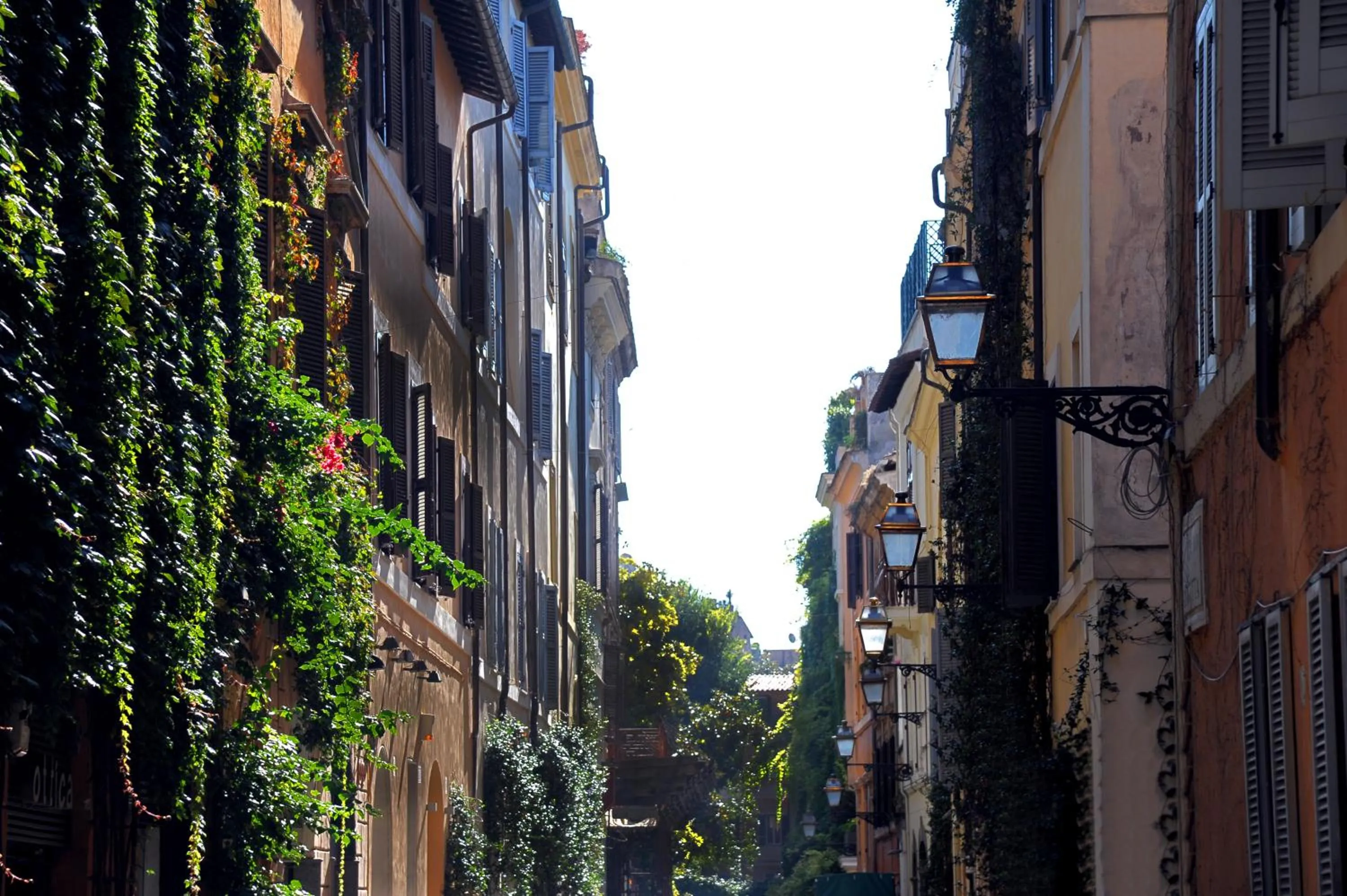 Neighbourhood in Margutta's Garden