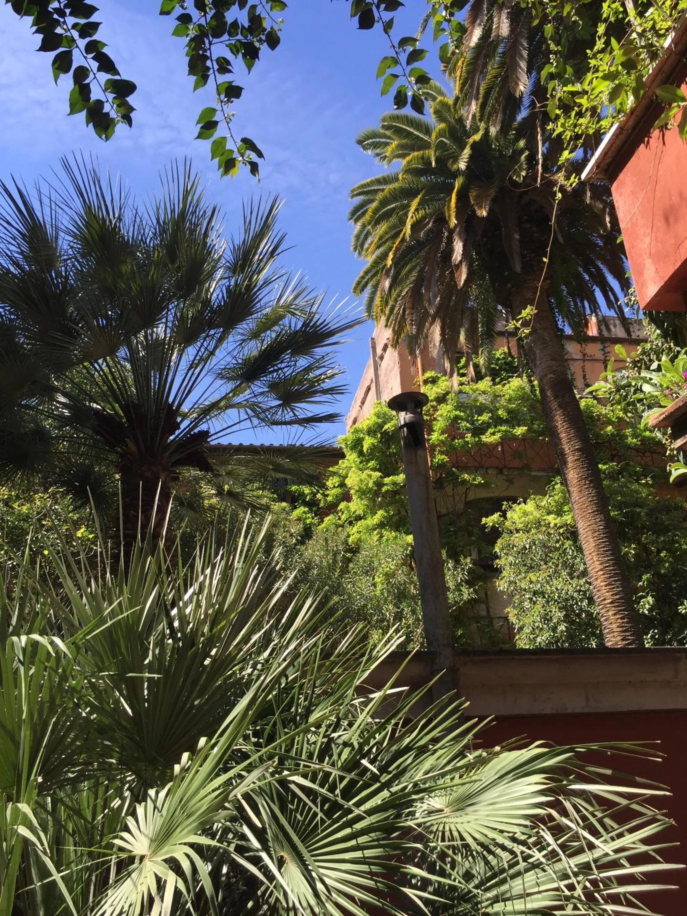 Garden view in Margutta's Garden