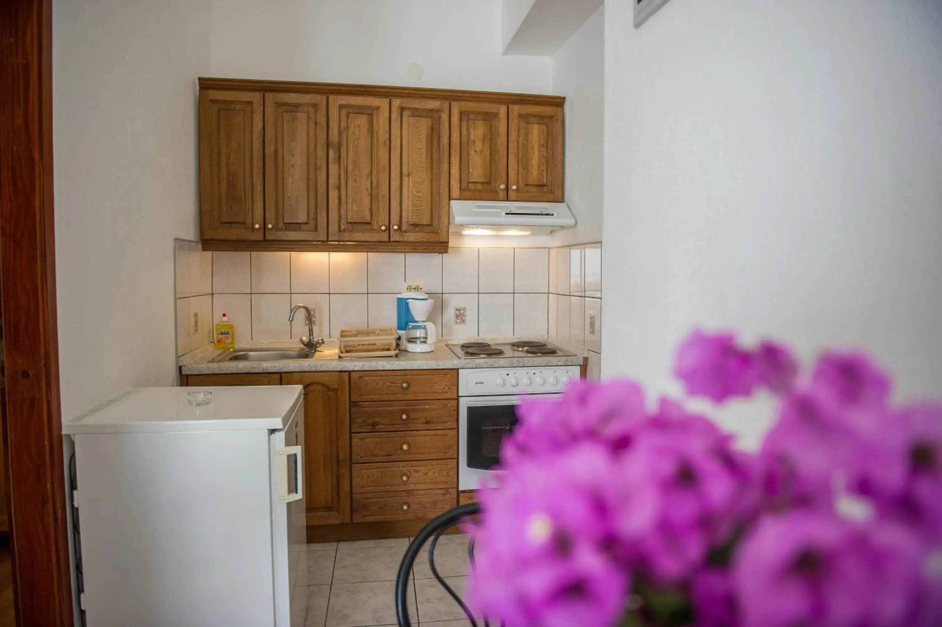 Apartment in Apartments Škarpa 1601 Apartment in Apartments Škarpa 1601