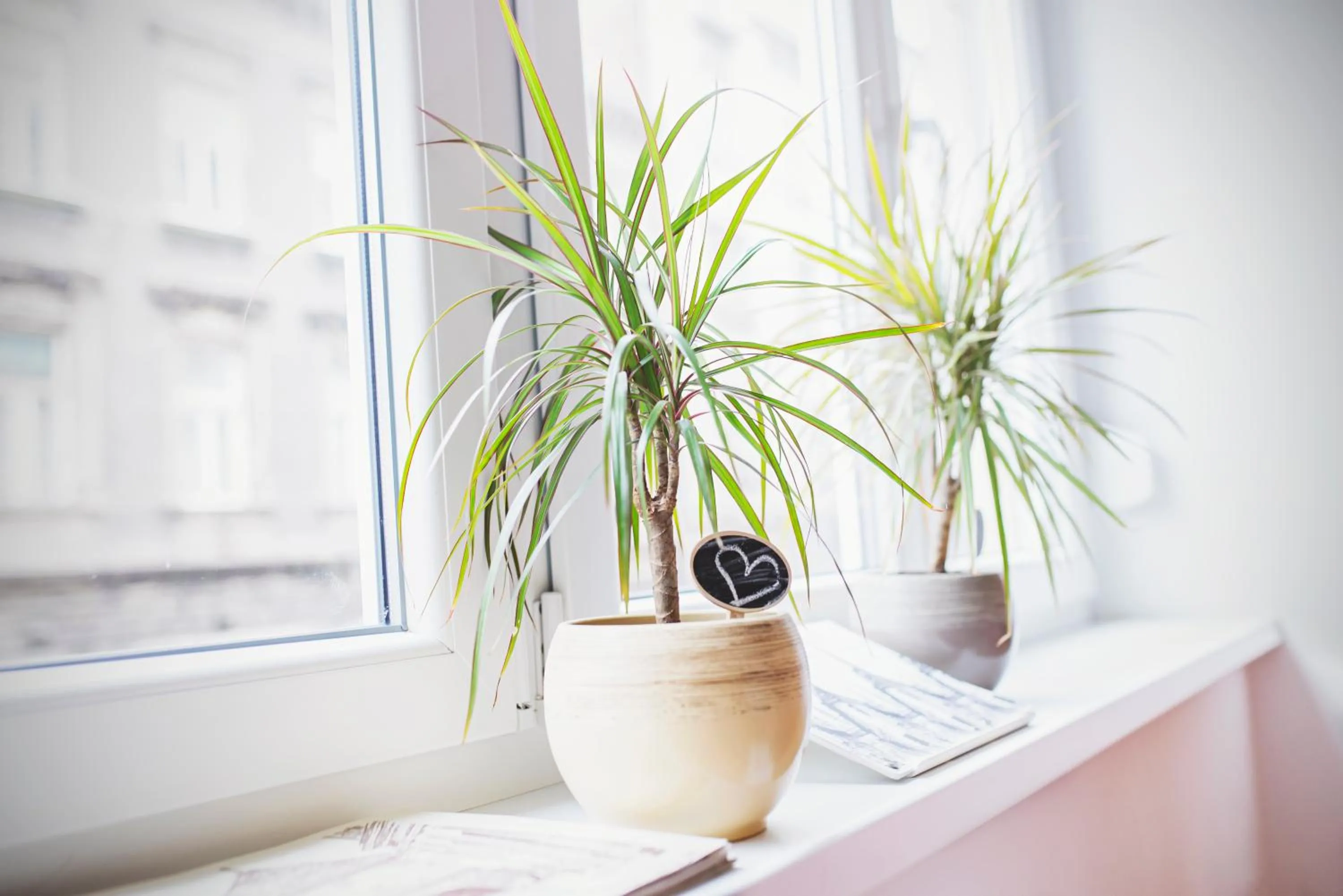Communal lounge/ TV room in The Dots Hostel