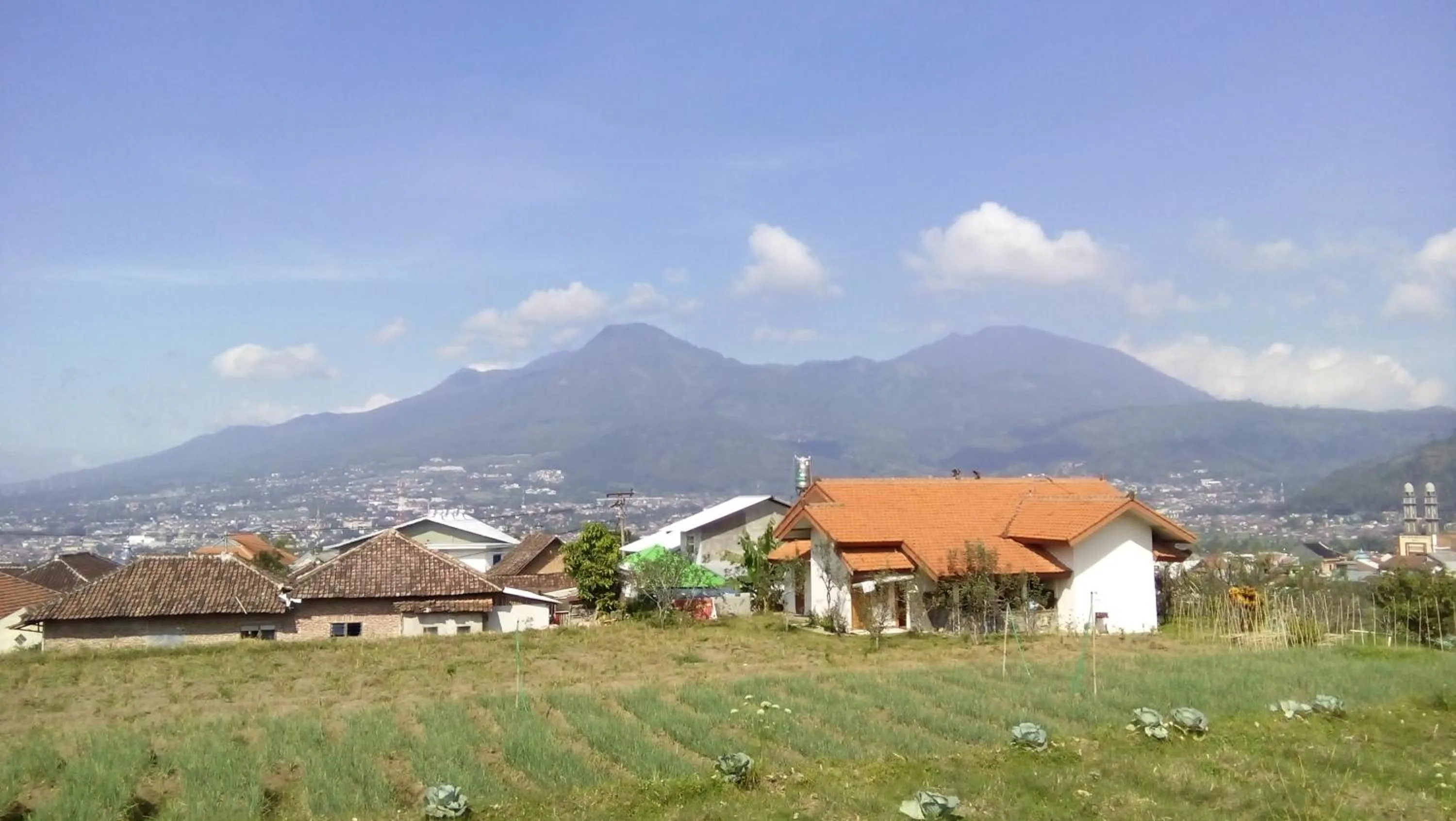 Neighbourhood in Shanty's House