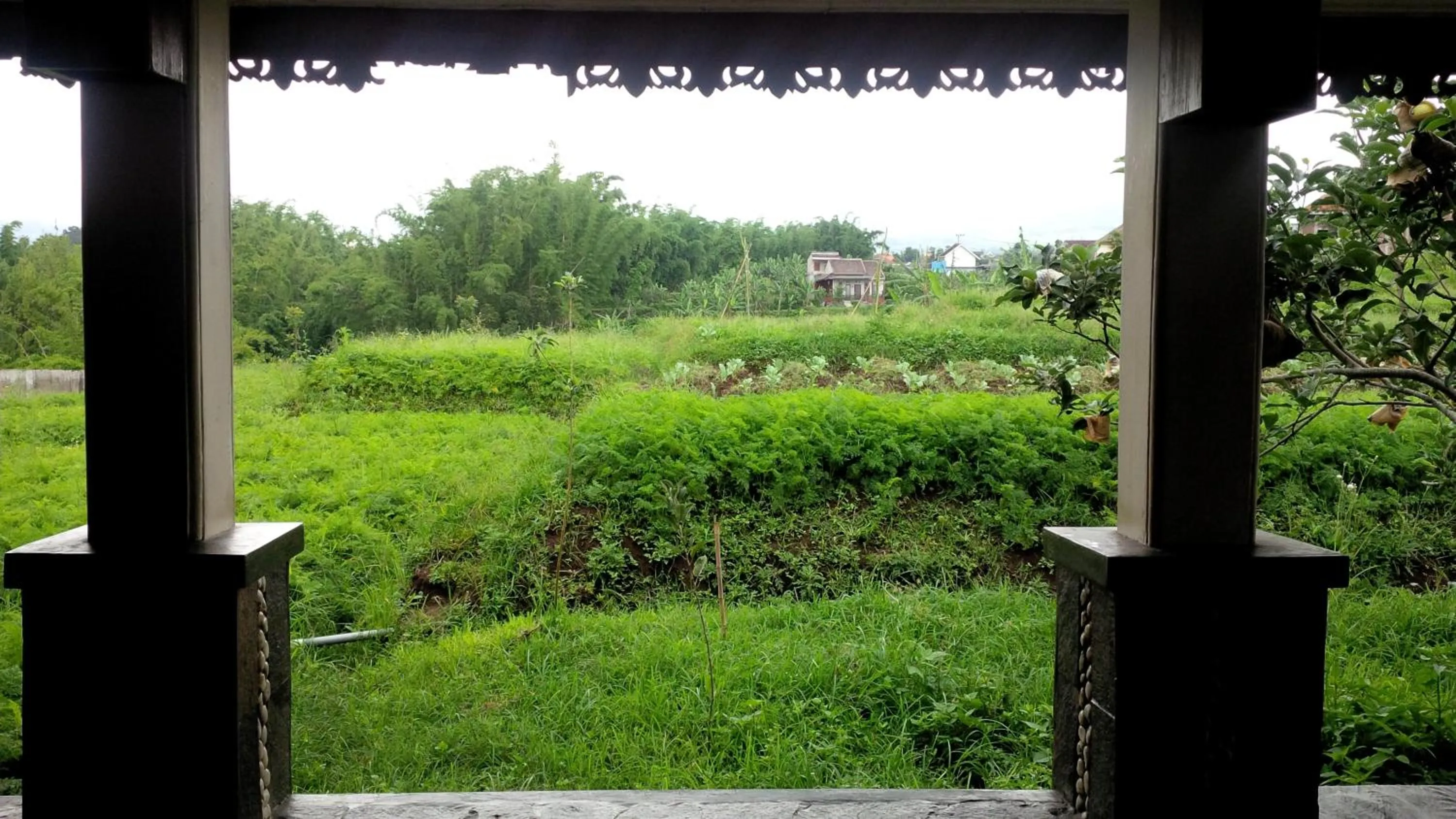 View (from property/room) in Shanty's House