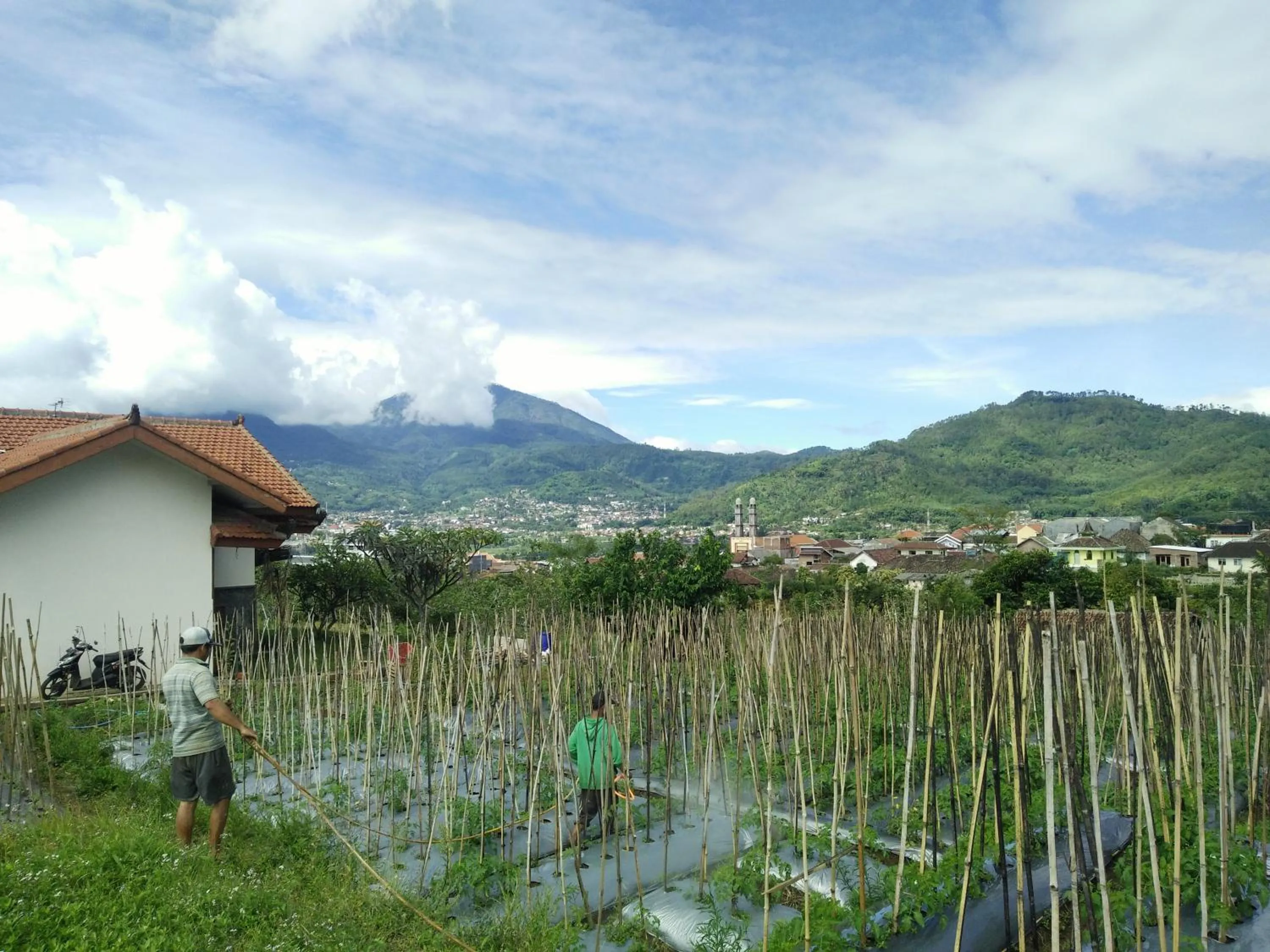 Neighbourhood in Shanty's House