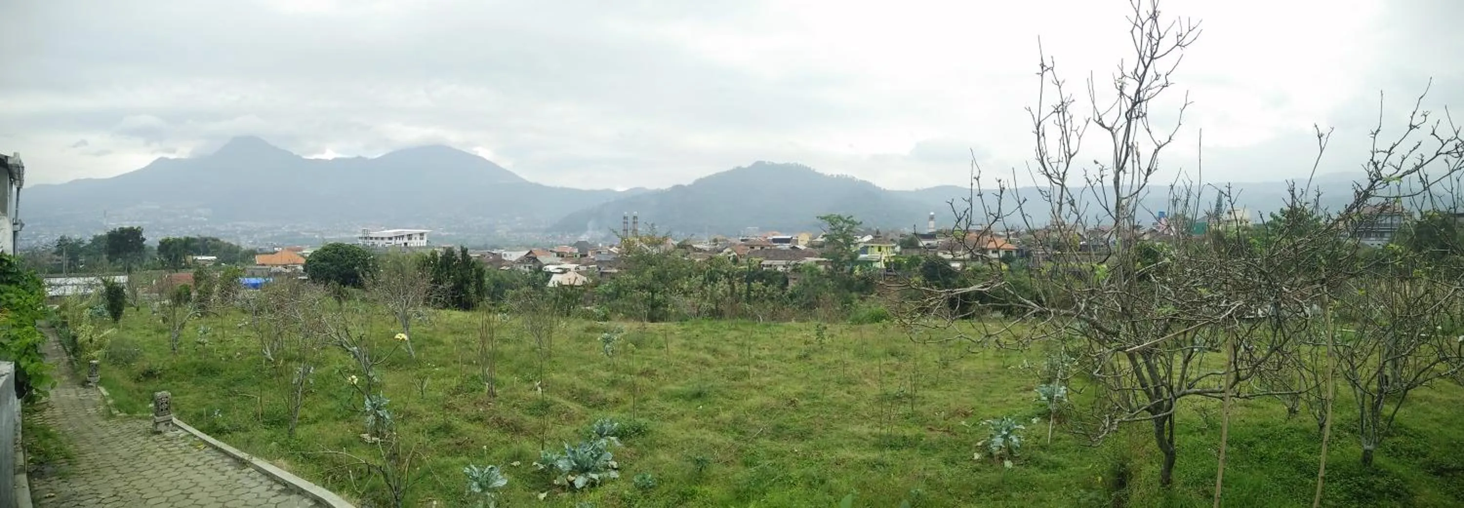 Mountain view in Shanty's House