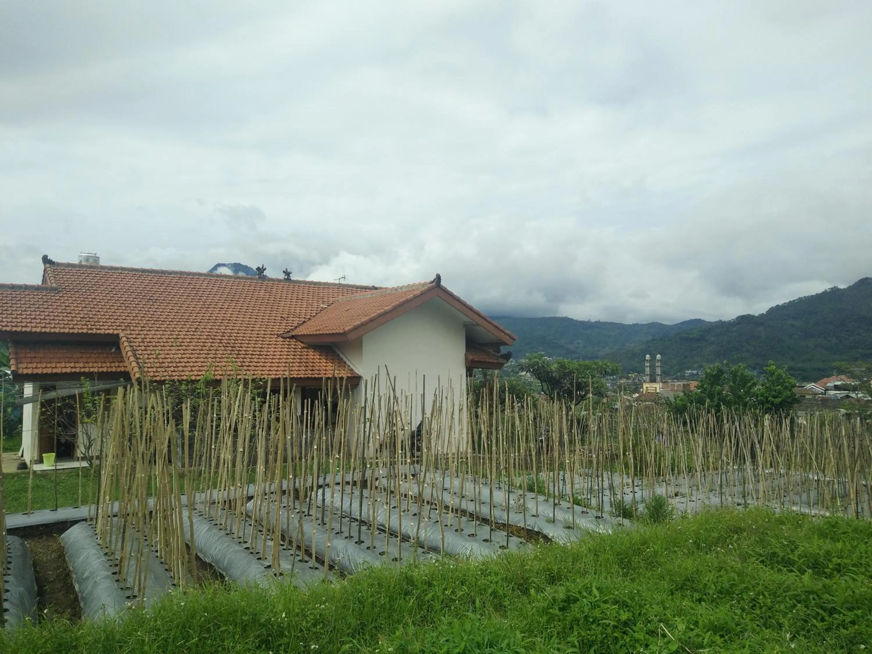 Neighbourhood in Shanty's House