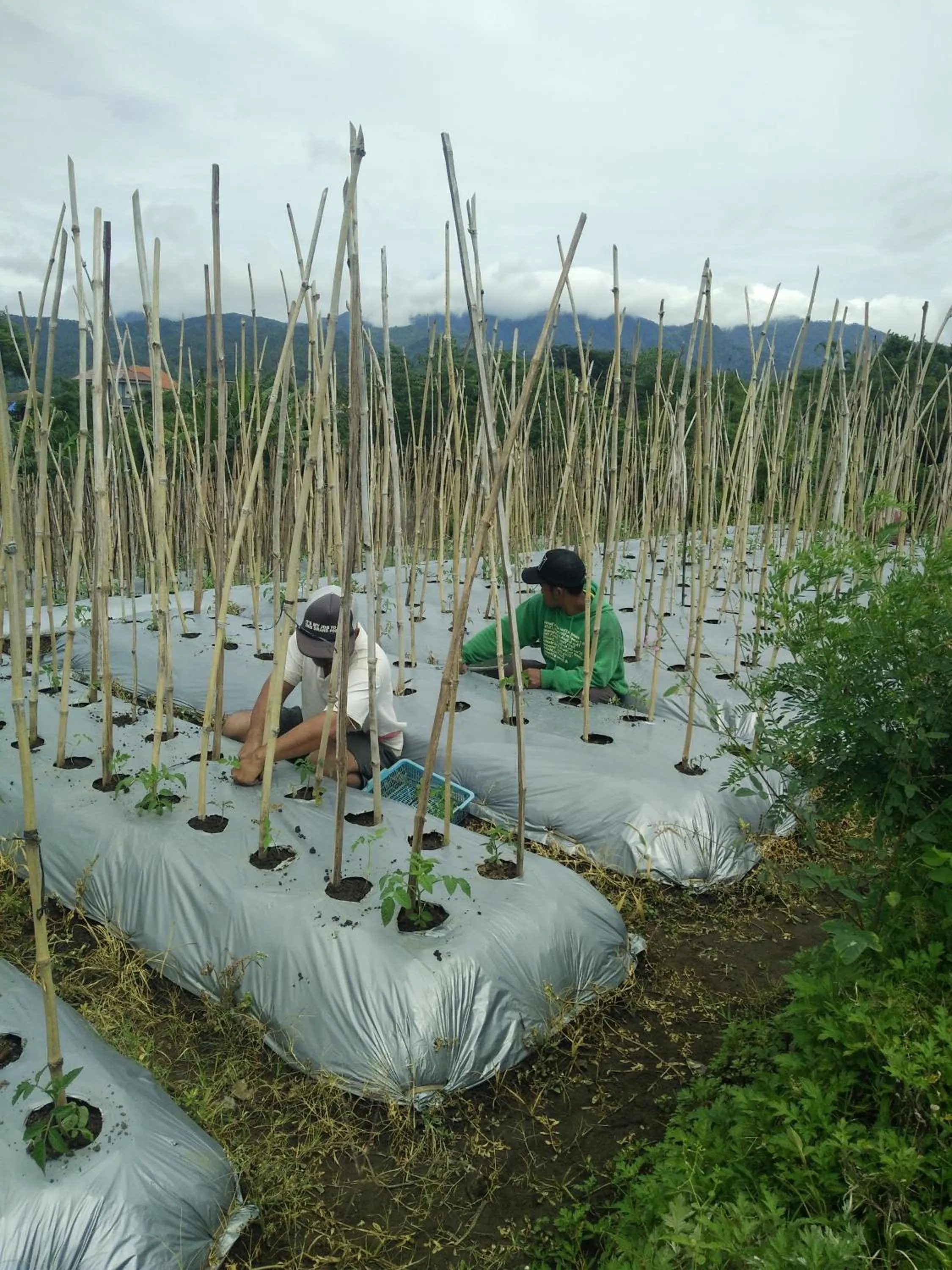 People in Shanty's House