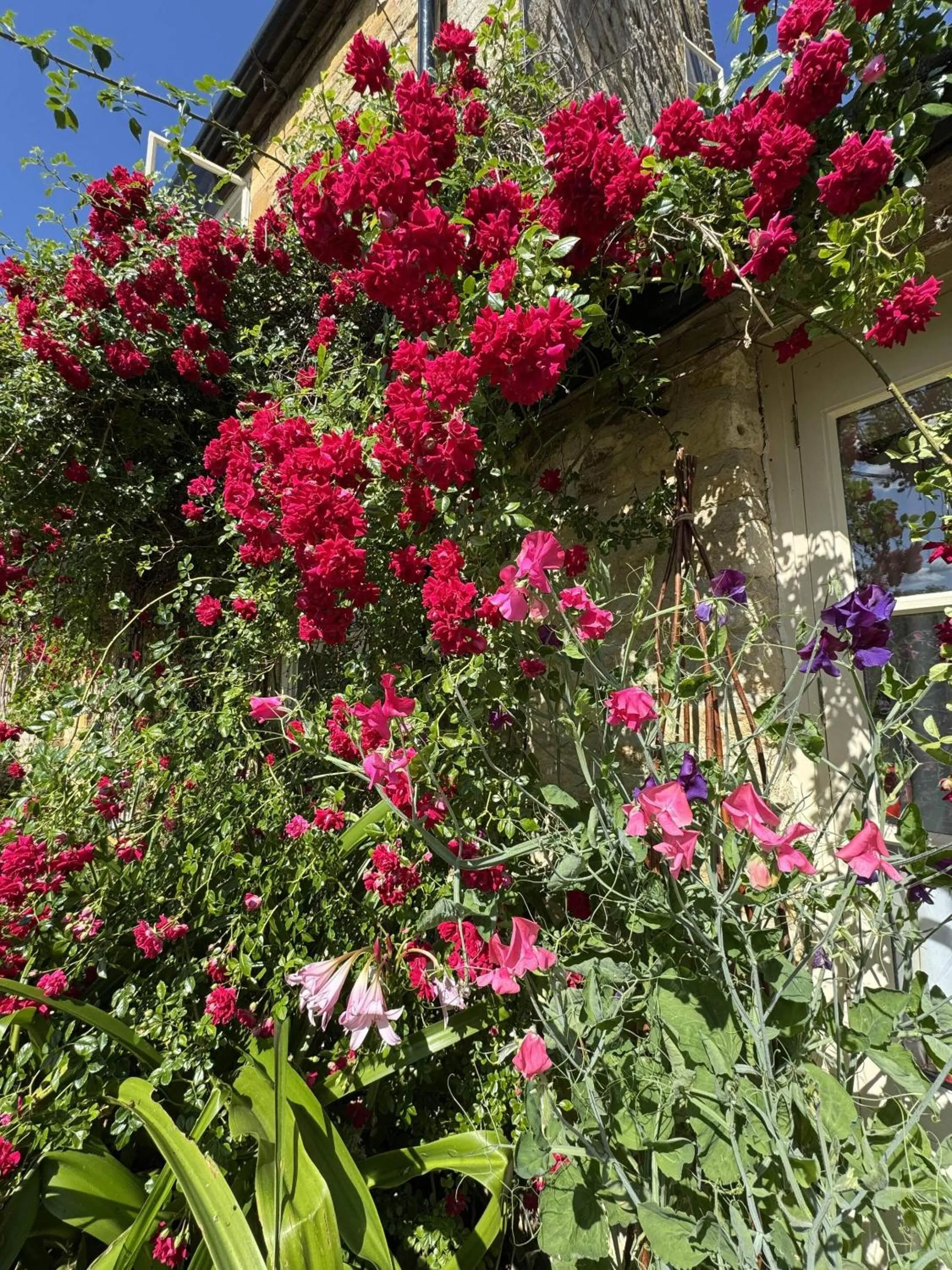 Garden in Guiting Guest House