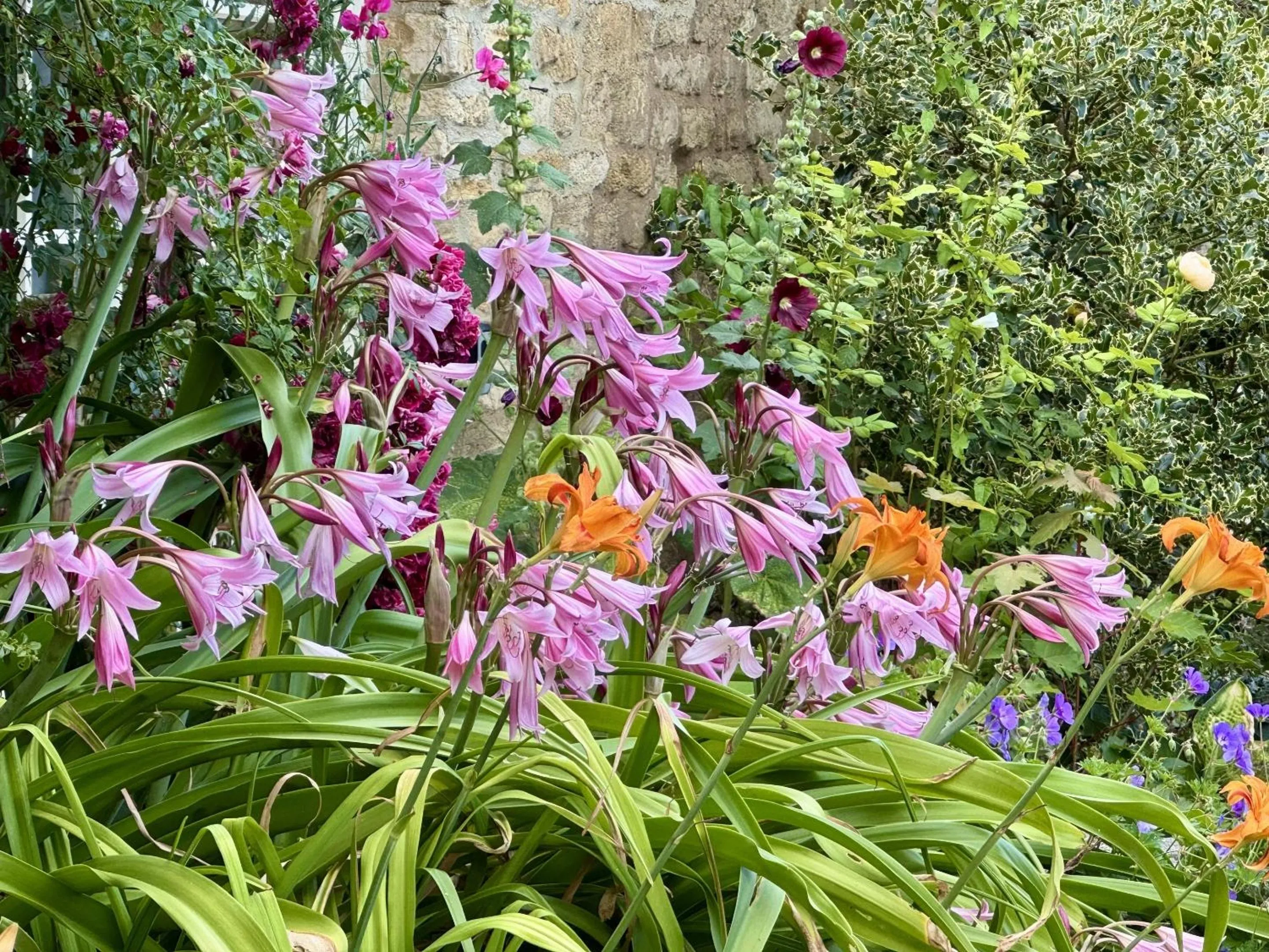 Garden in Guiting Guest House