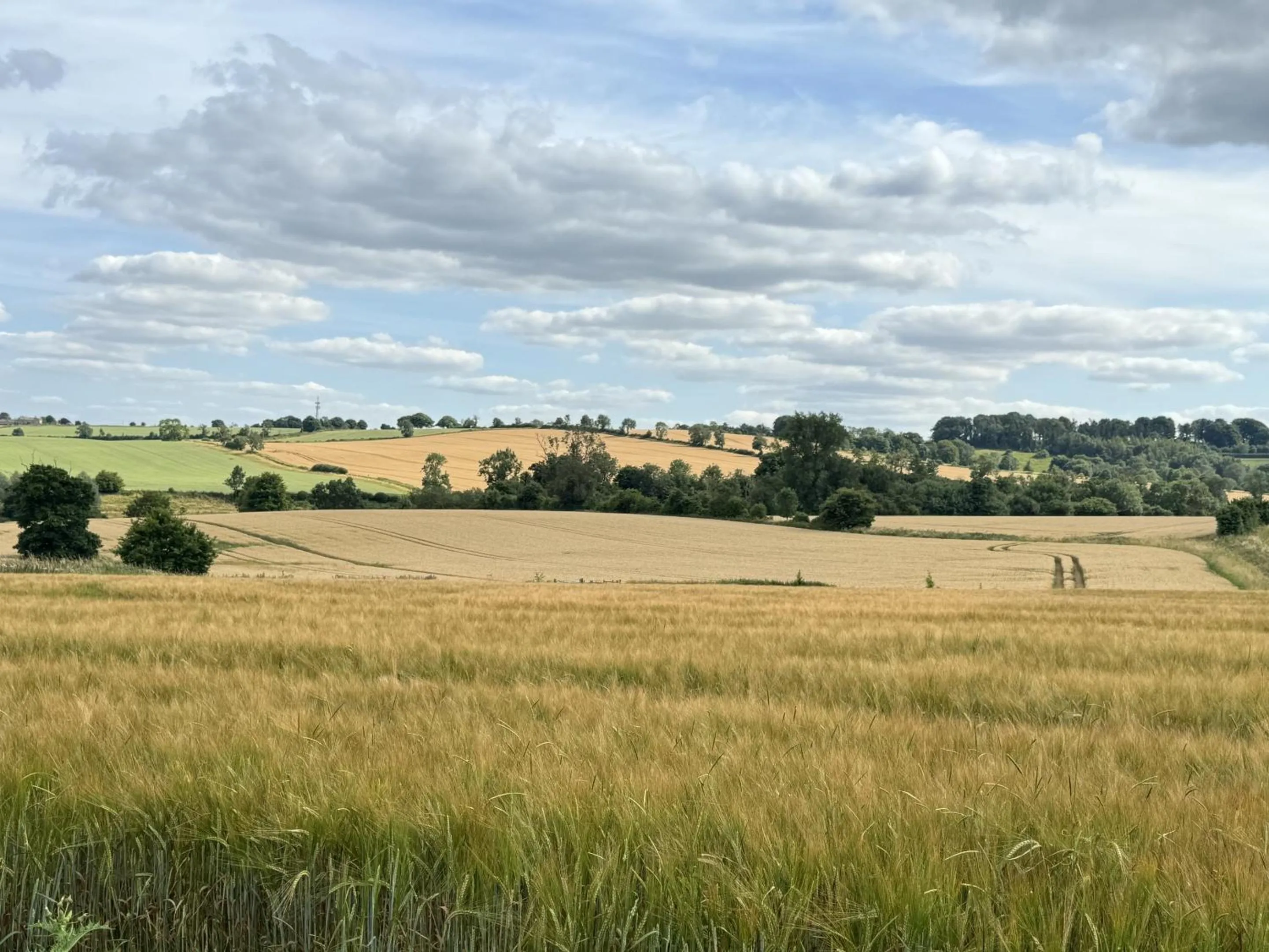 Neighbourhood in Guiting Guest House