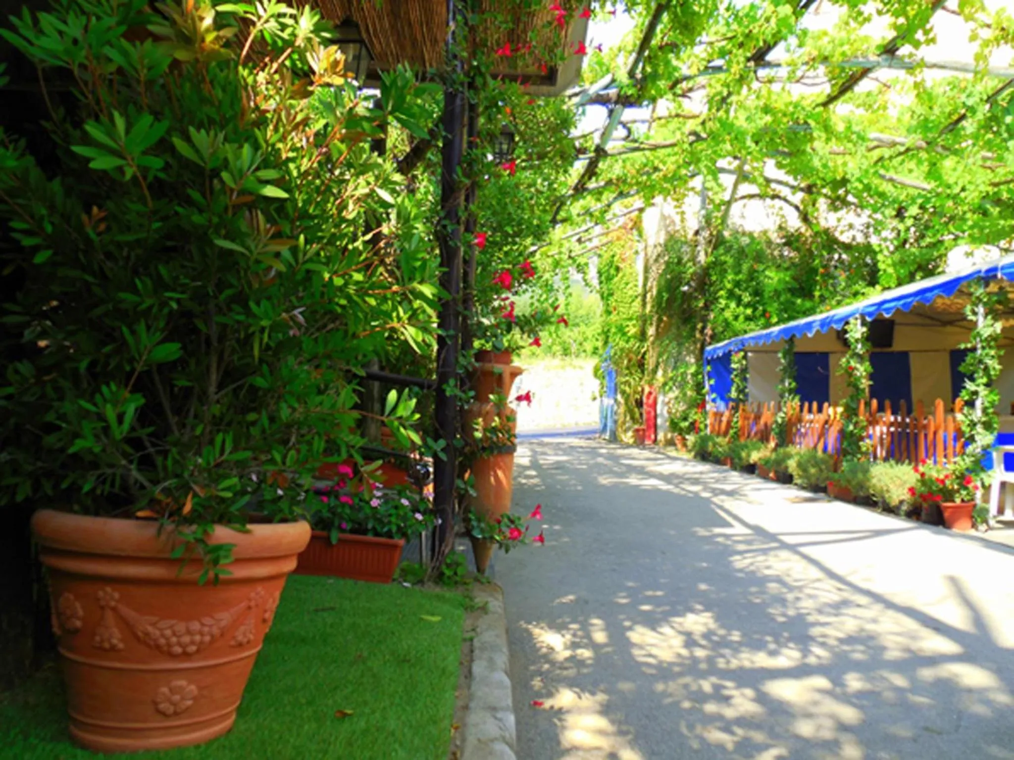Facade/entrance in Fiori D'Arancio