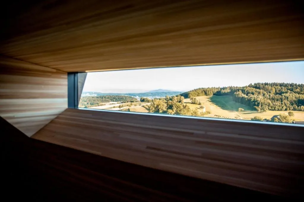 View (from property/room) in Hotel Krone Regensberg