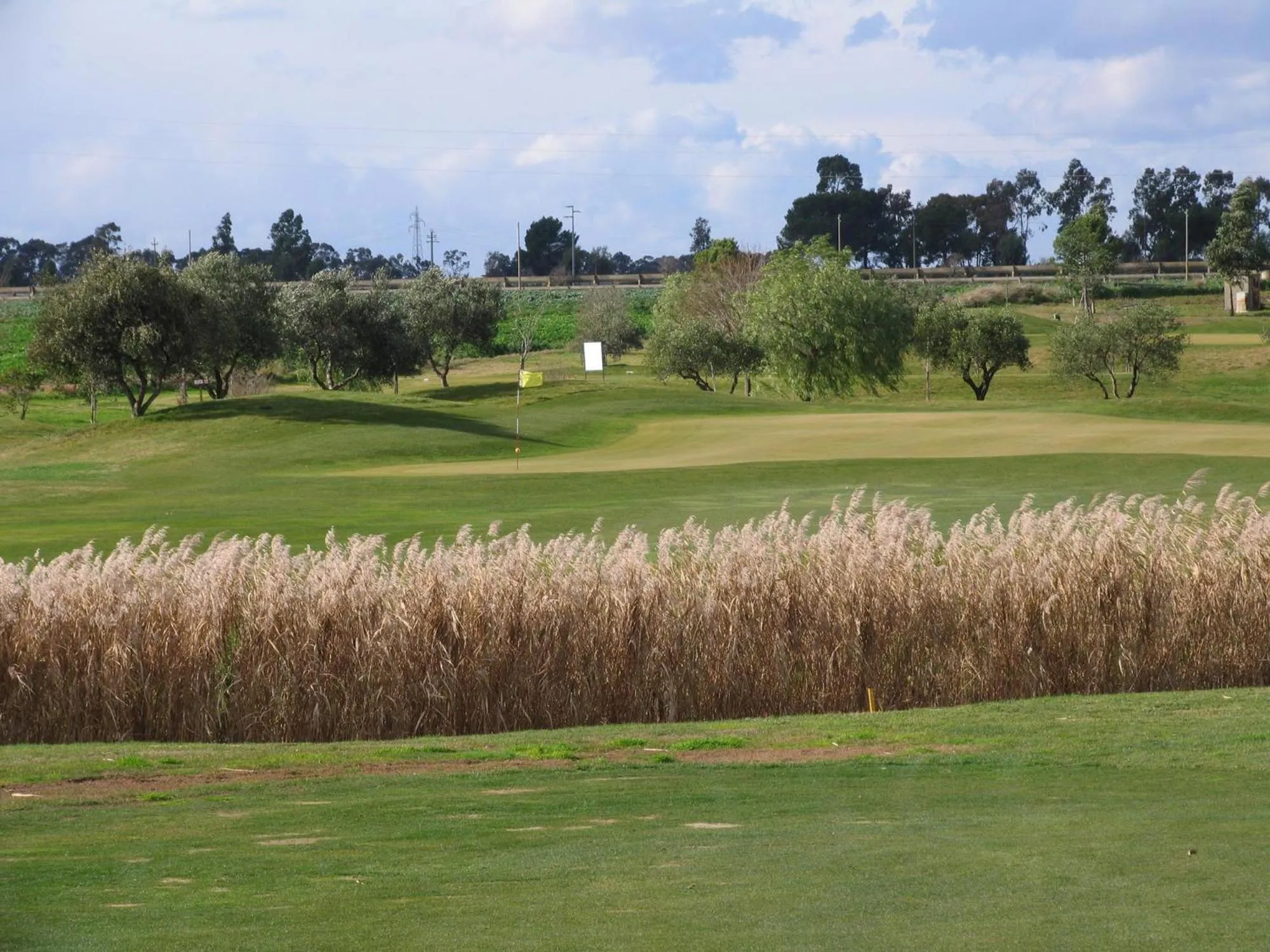 Natural landscape in Golf Club Metaponto