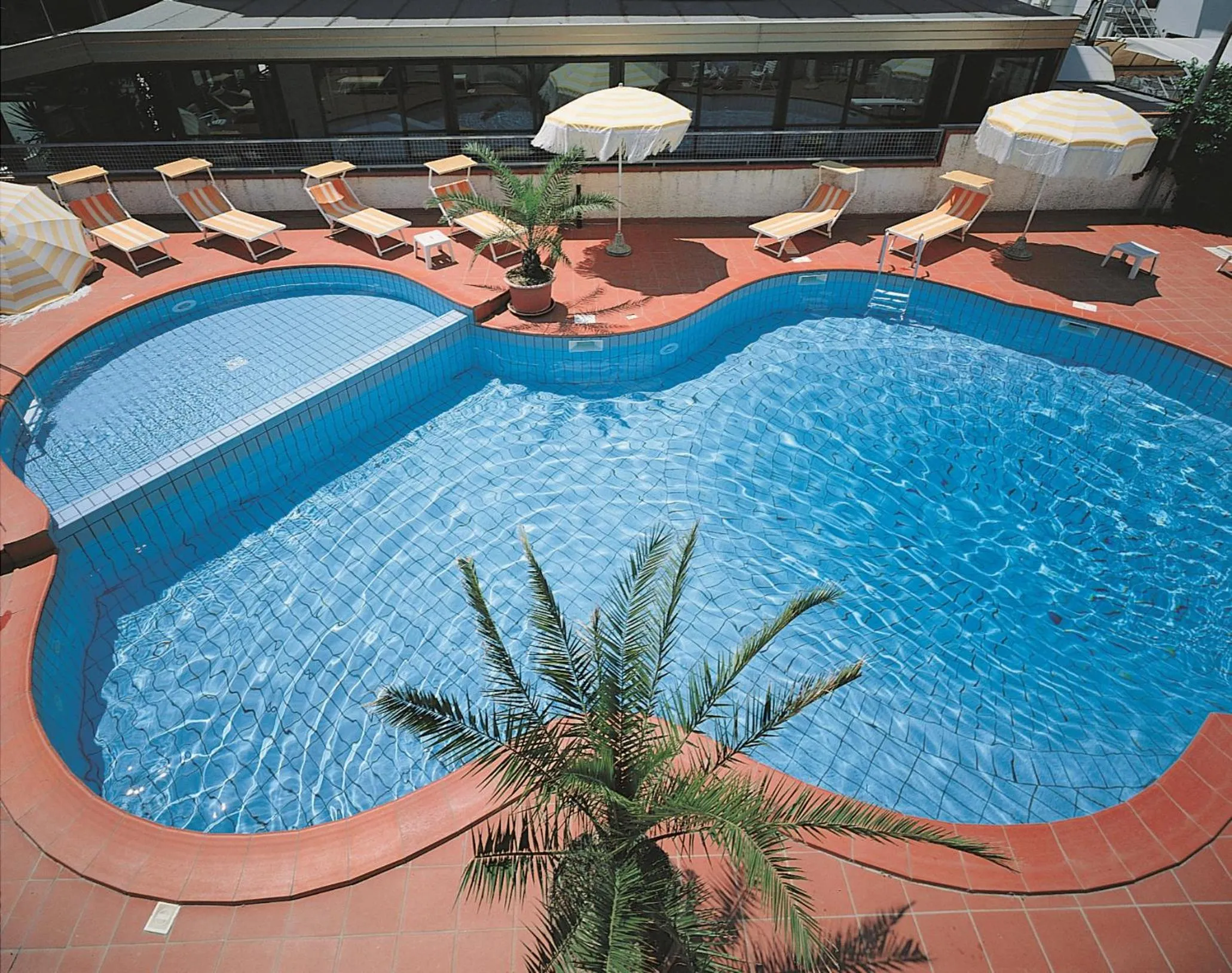 Swimming pool in Hotel Calypso