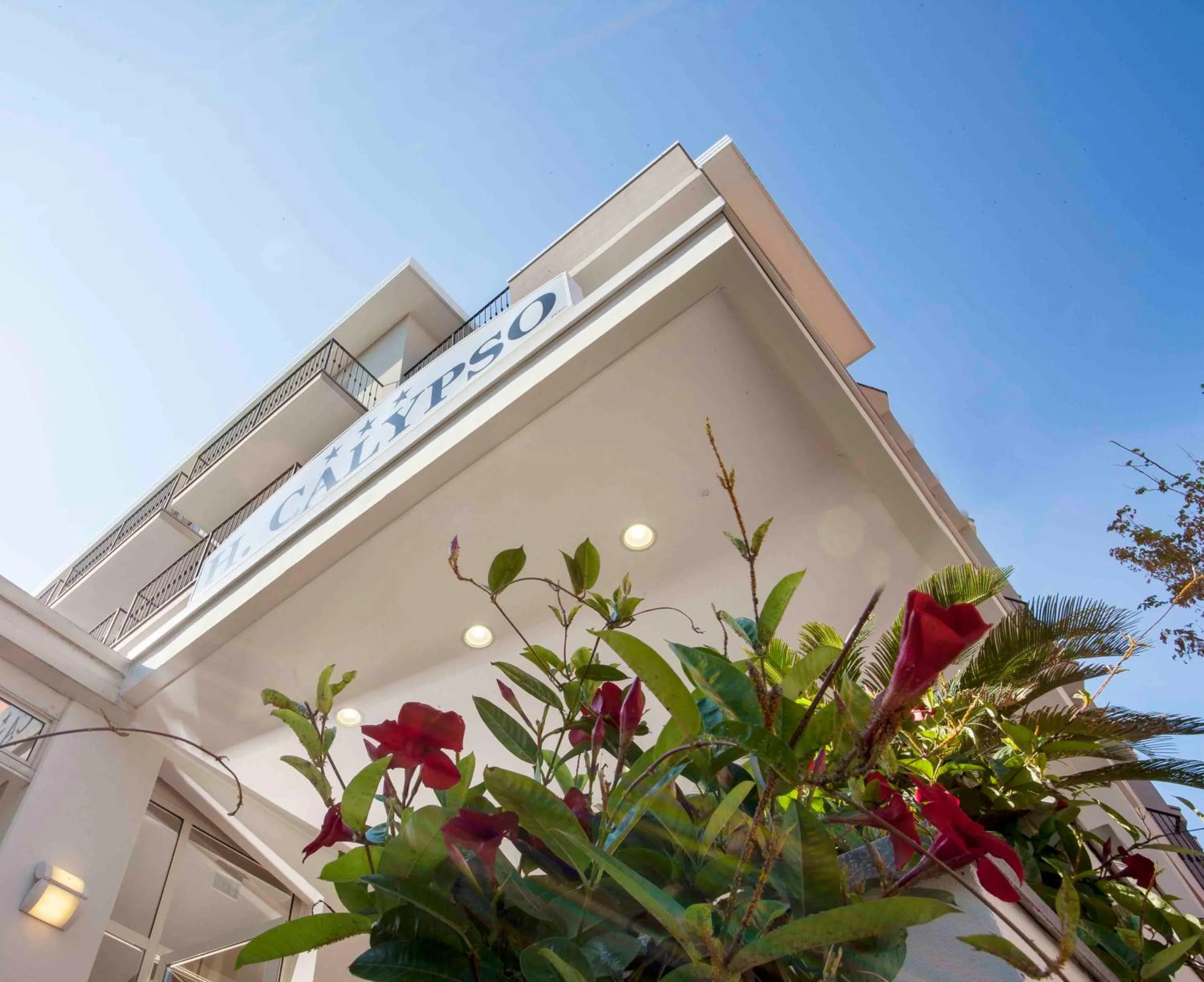 Facade/entrance in Hotel Calypso