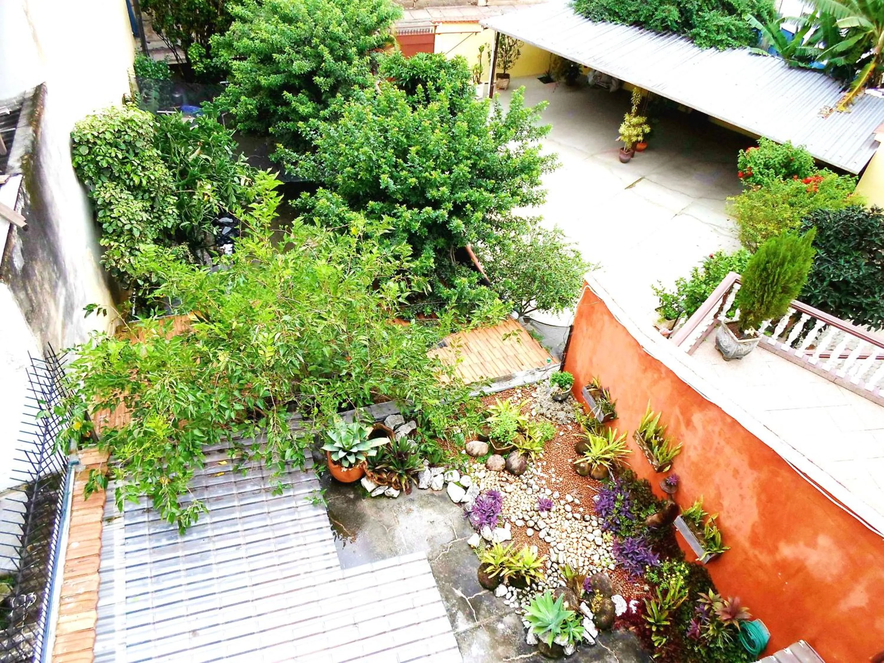 Garden view in Historic House