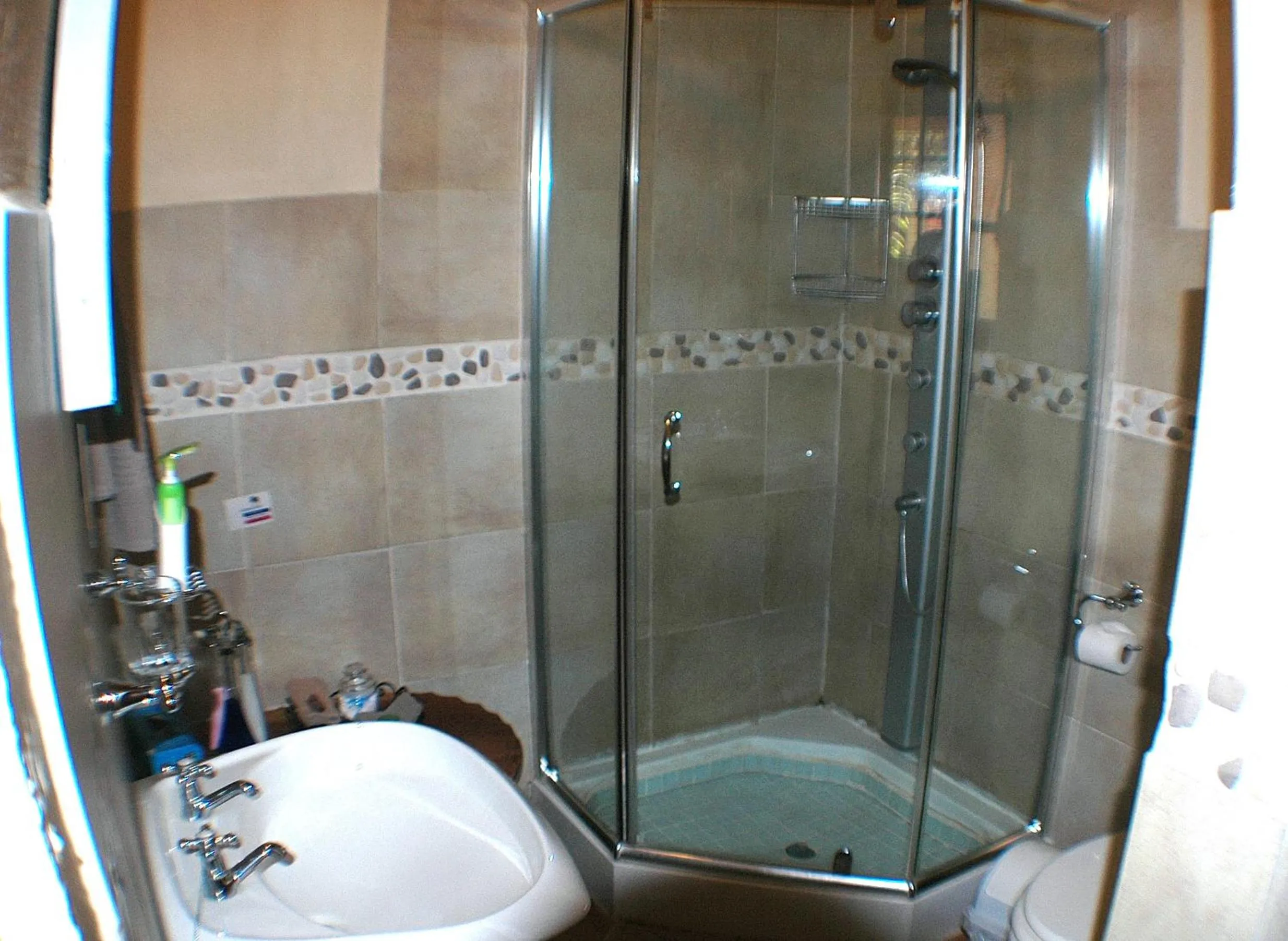 Shower in Trees Too Guest Lodge