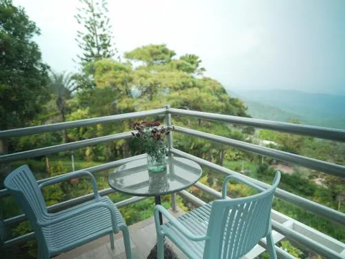 The Carmelence View