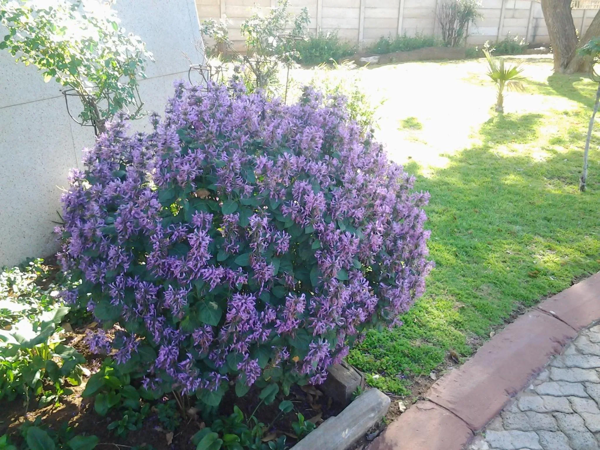 Property building in The Lighthouse Guesthouse
