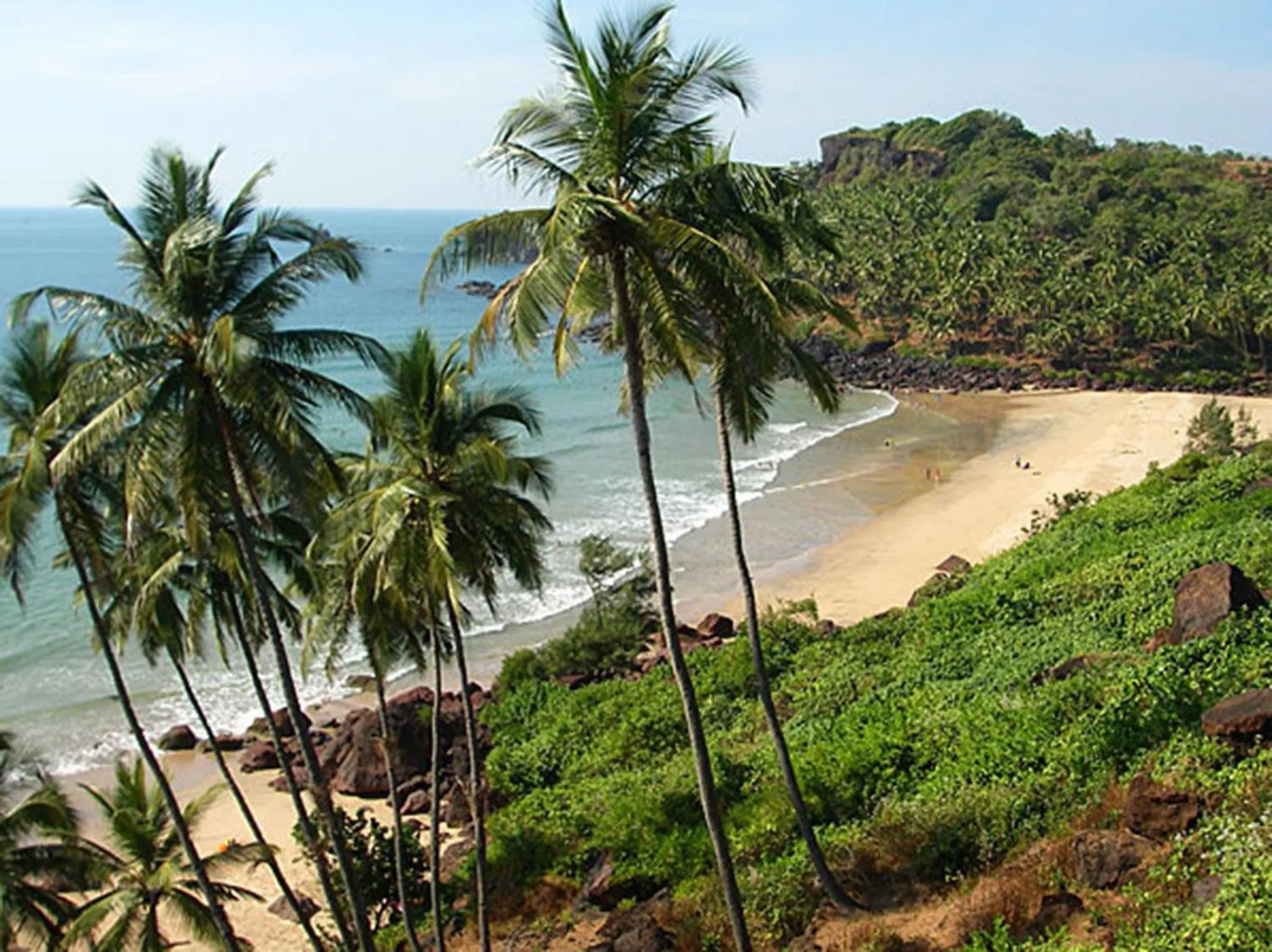 Natural landscape in Blue Lagoon Resort Goa