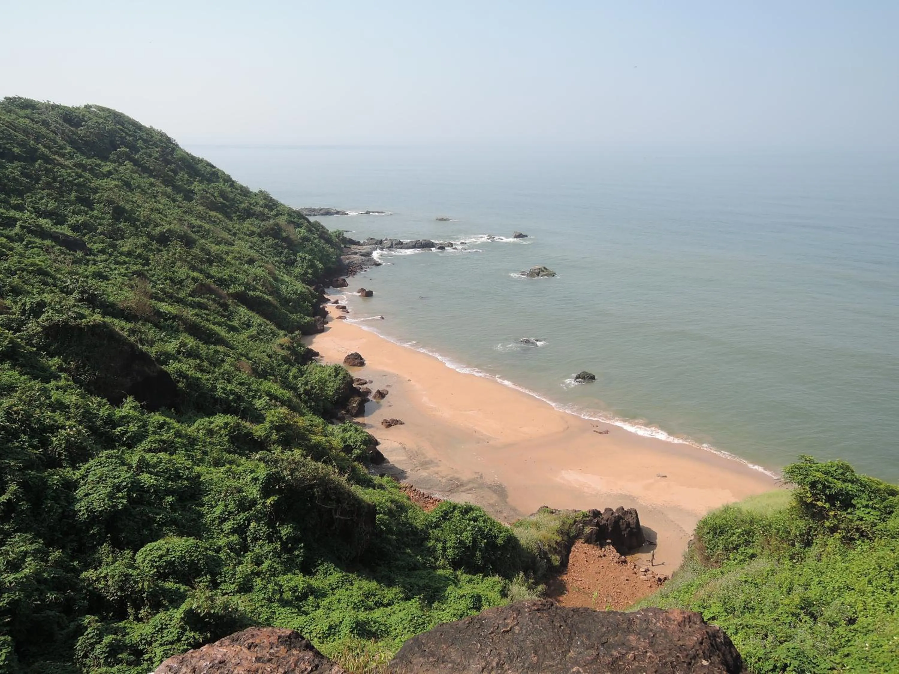 Natural landscape in Blue Lagoon Resort Goa