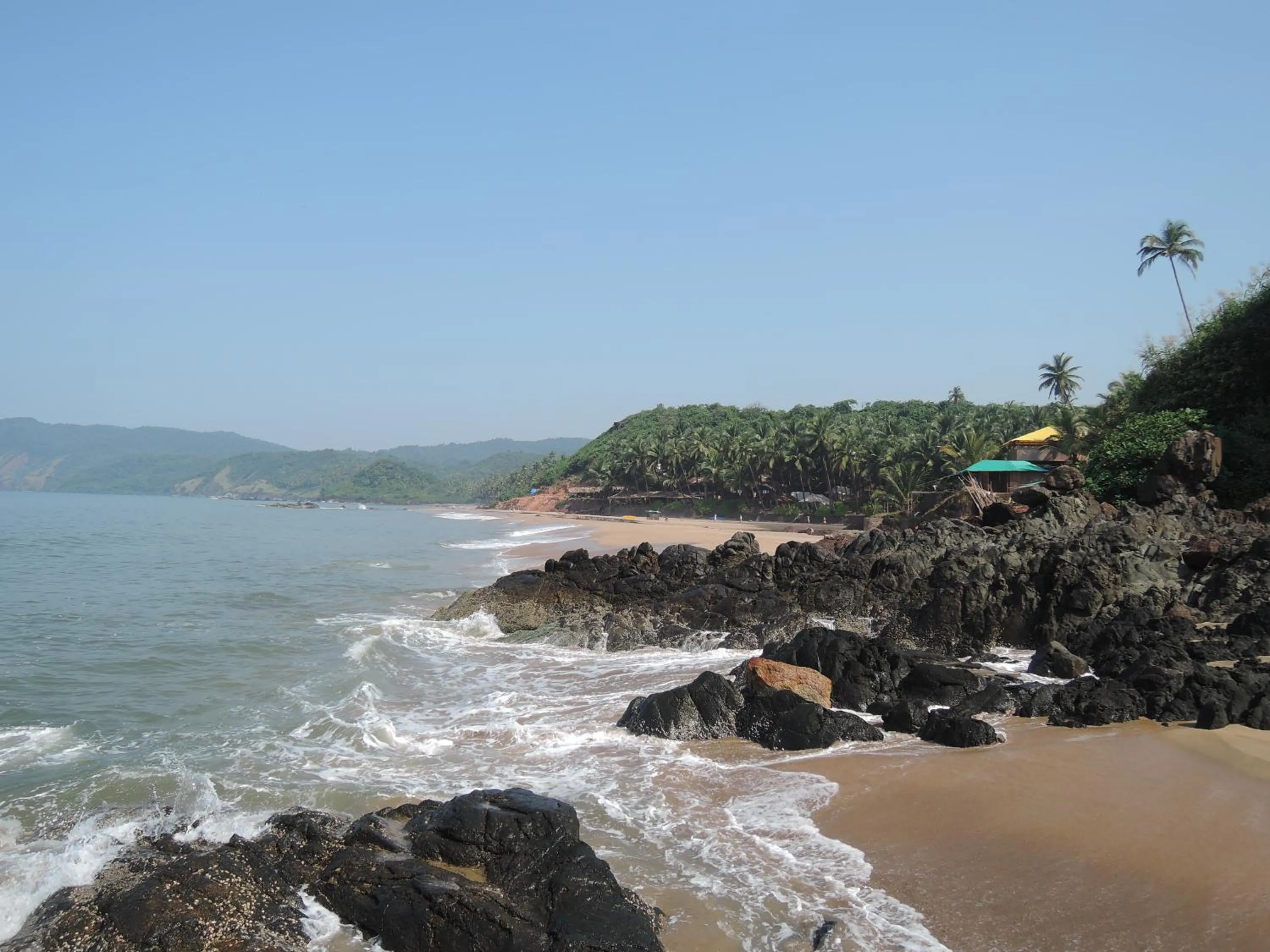 Natural landscape in Blue Lagoon Resort Goa