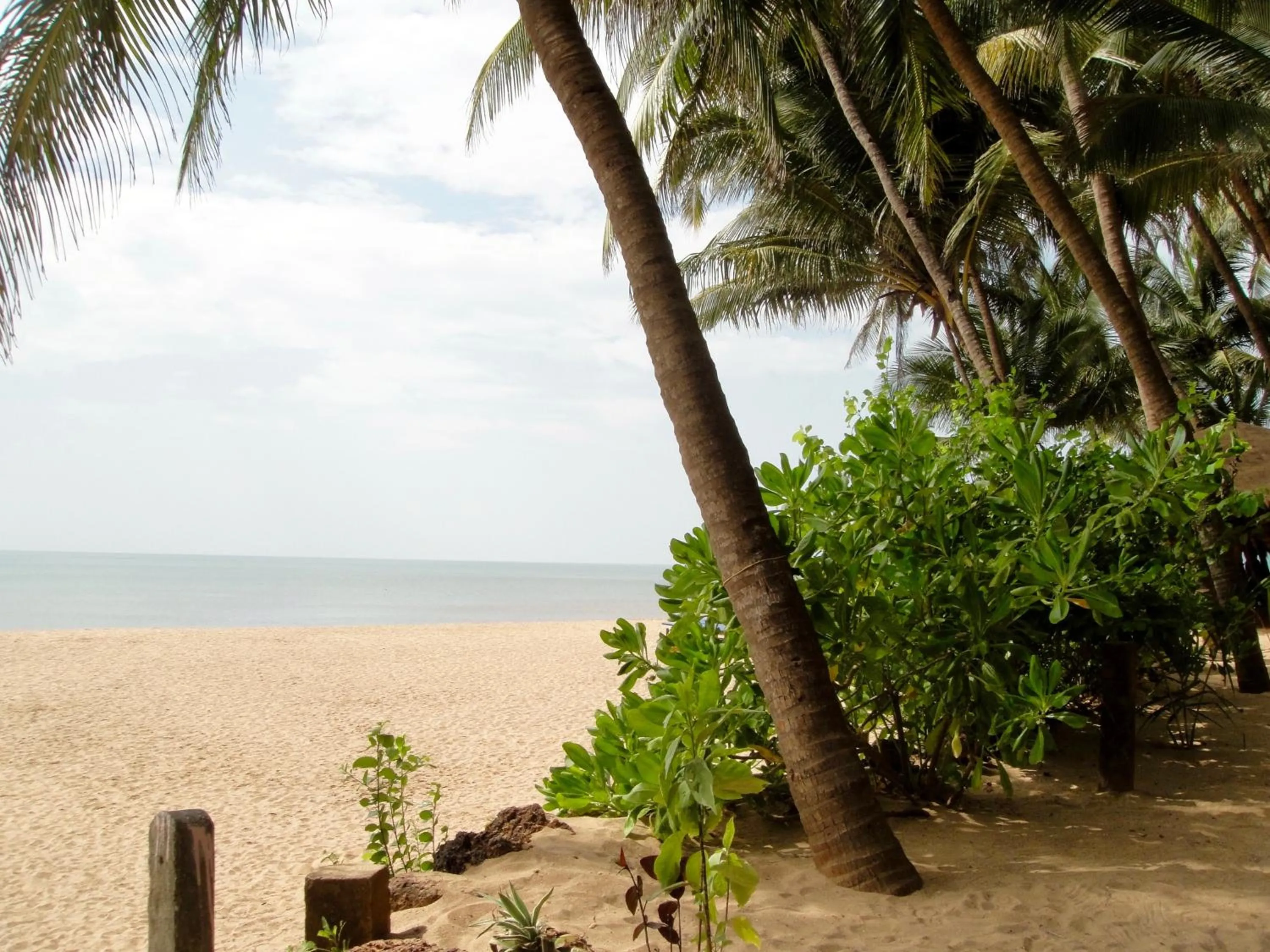 Garden in Blue Lagoon Resort Goa