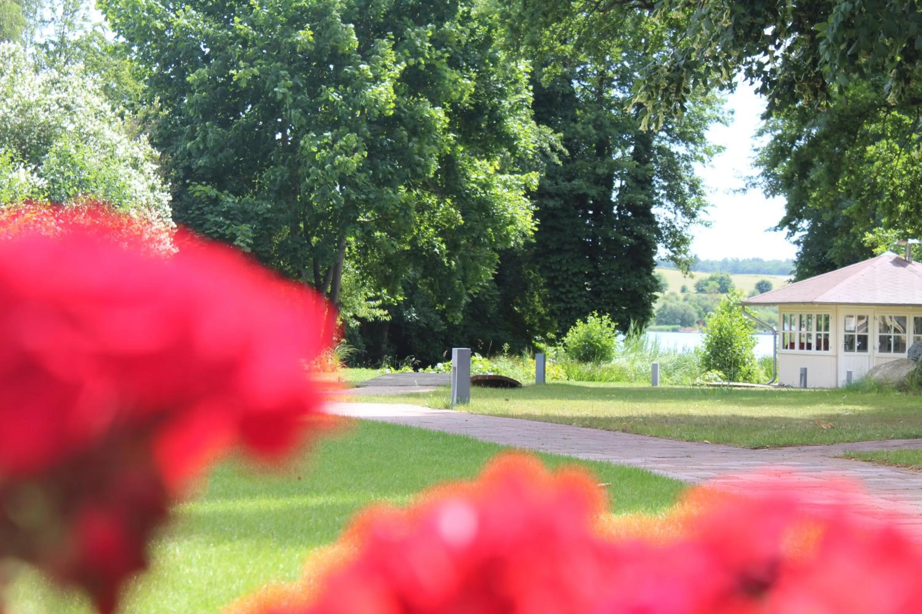 Garden in Hotel Villa Passion