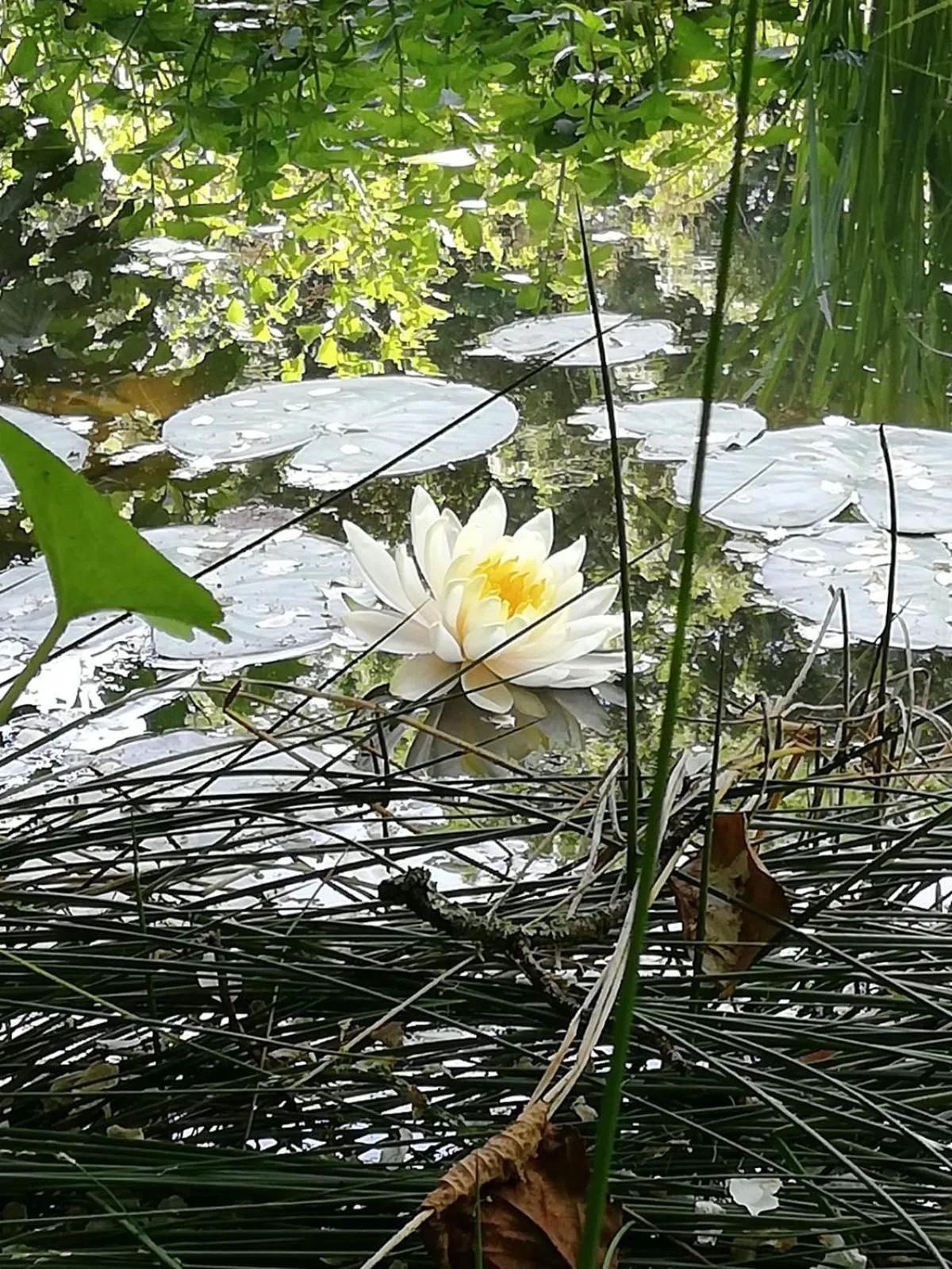 Natural landscape in Hotel Villa Passion