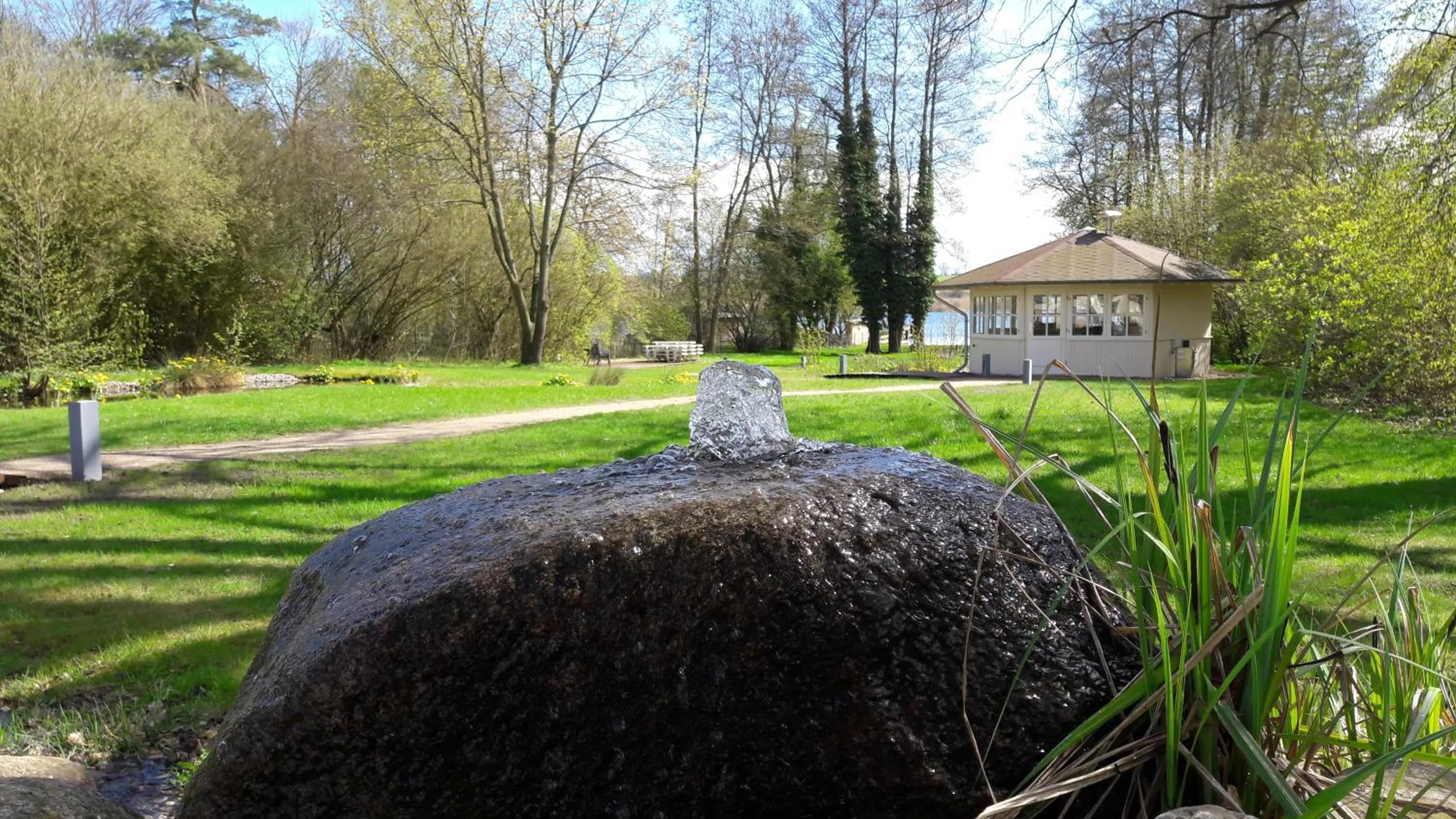 Garden in Hotel Villa Passion