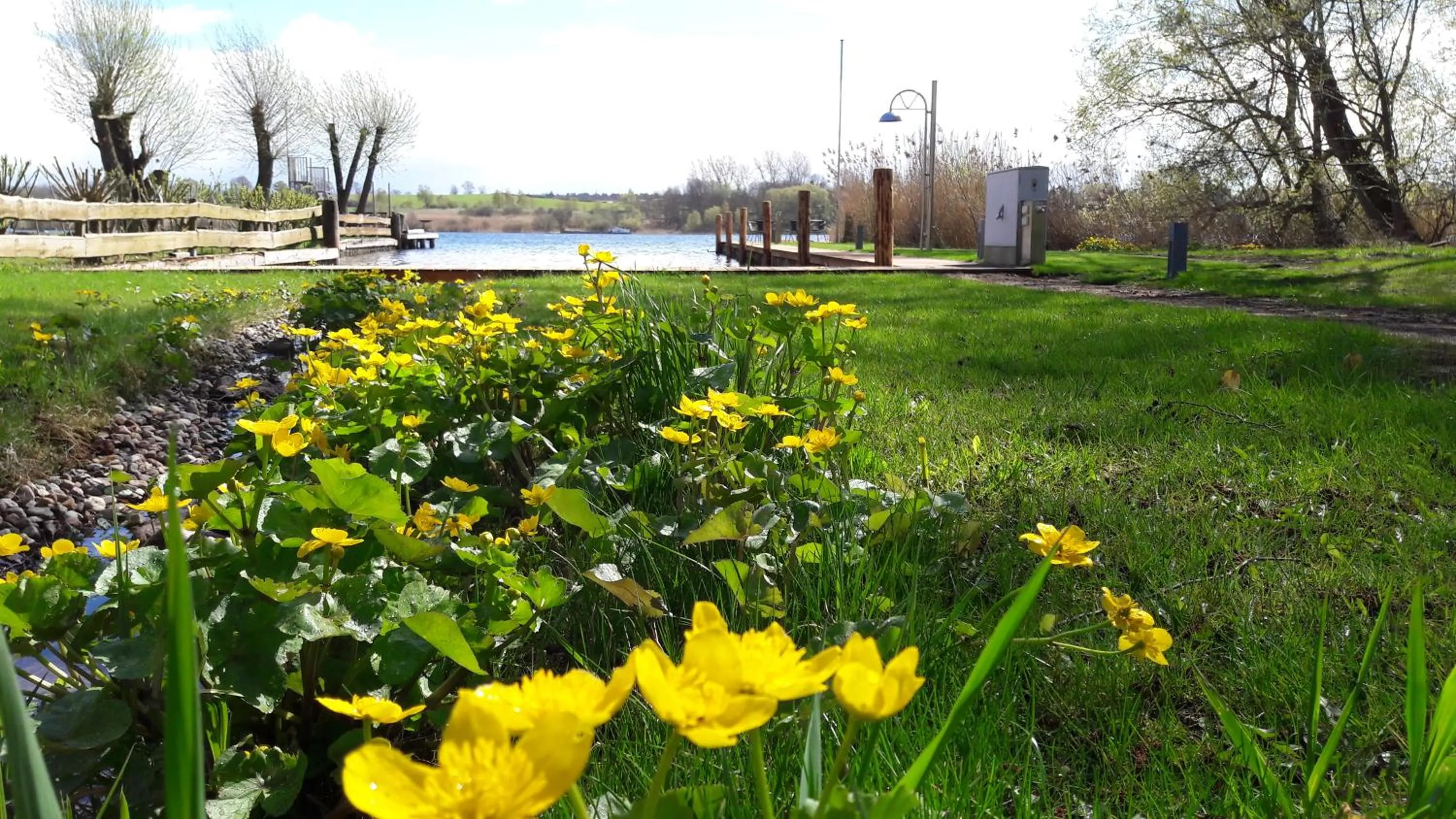 Beach in Hotel Villa Passion
