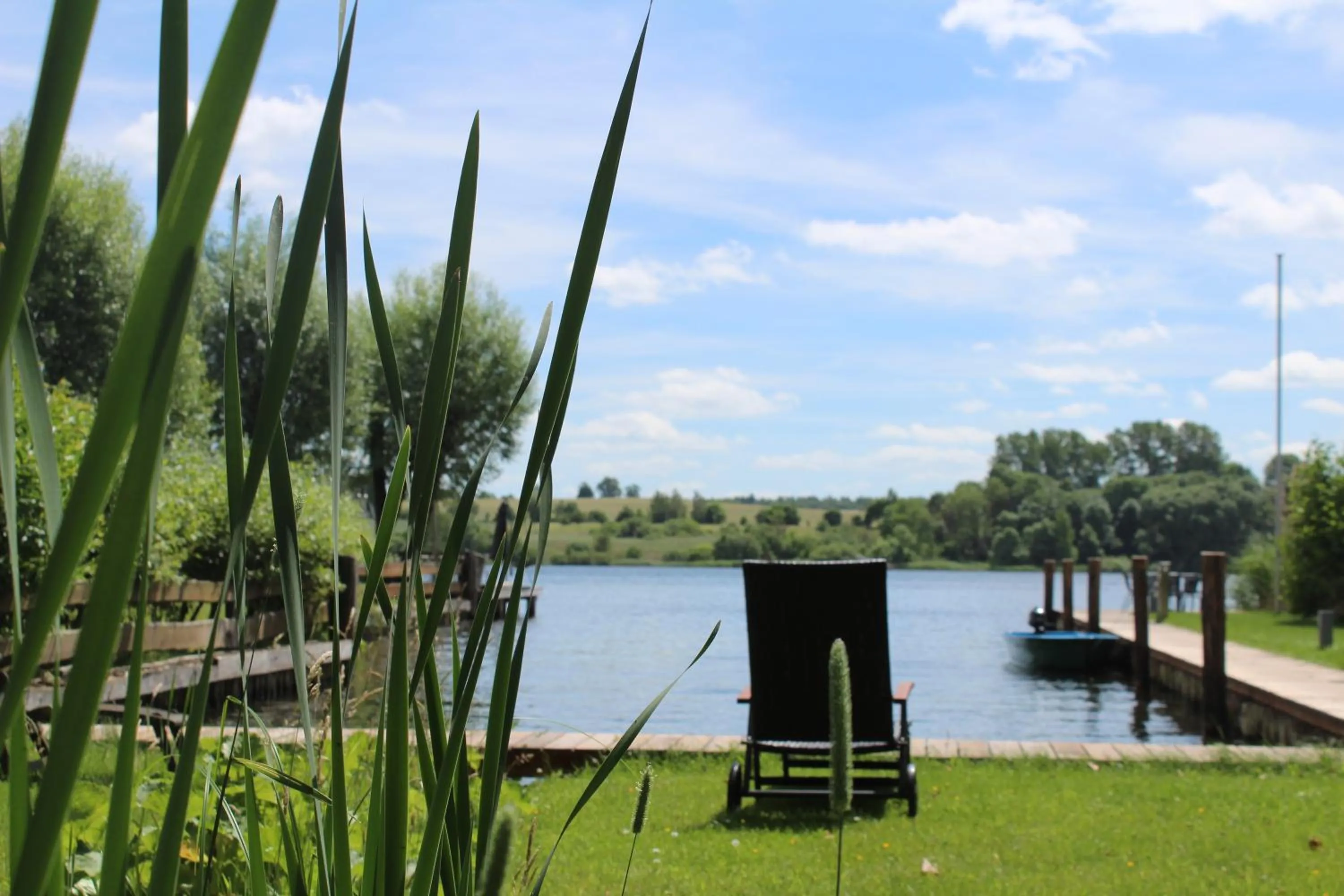 Garden in Hotel Villa Passion