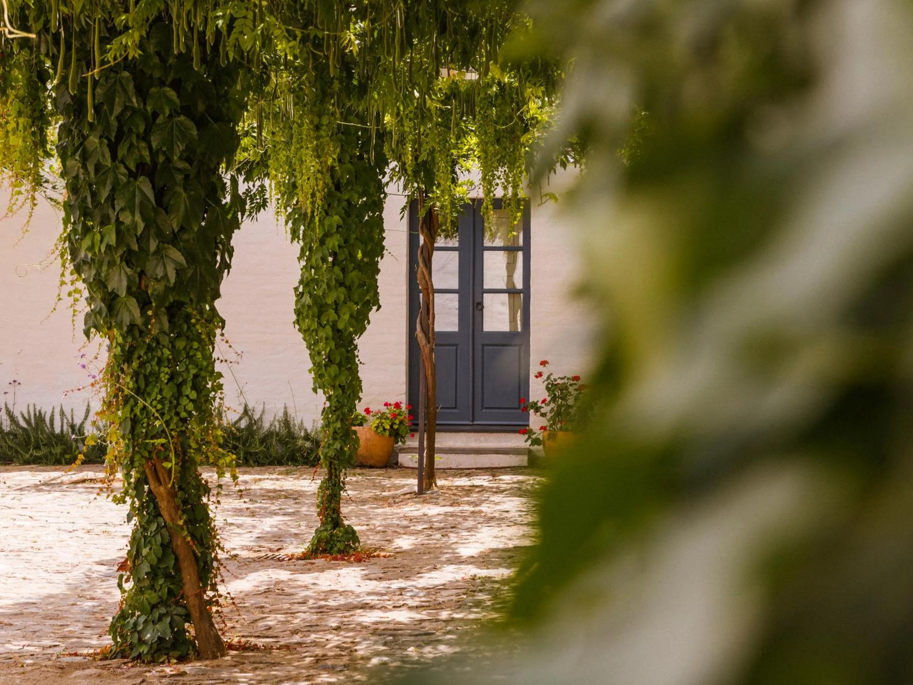 Property building in São Lourenço do Barrocal