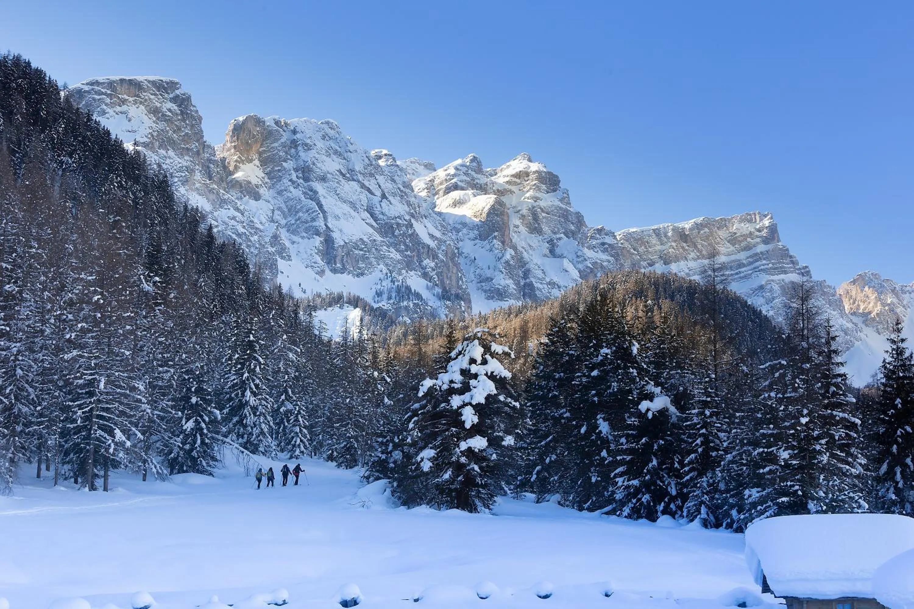 Activities in Chalet Mornà