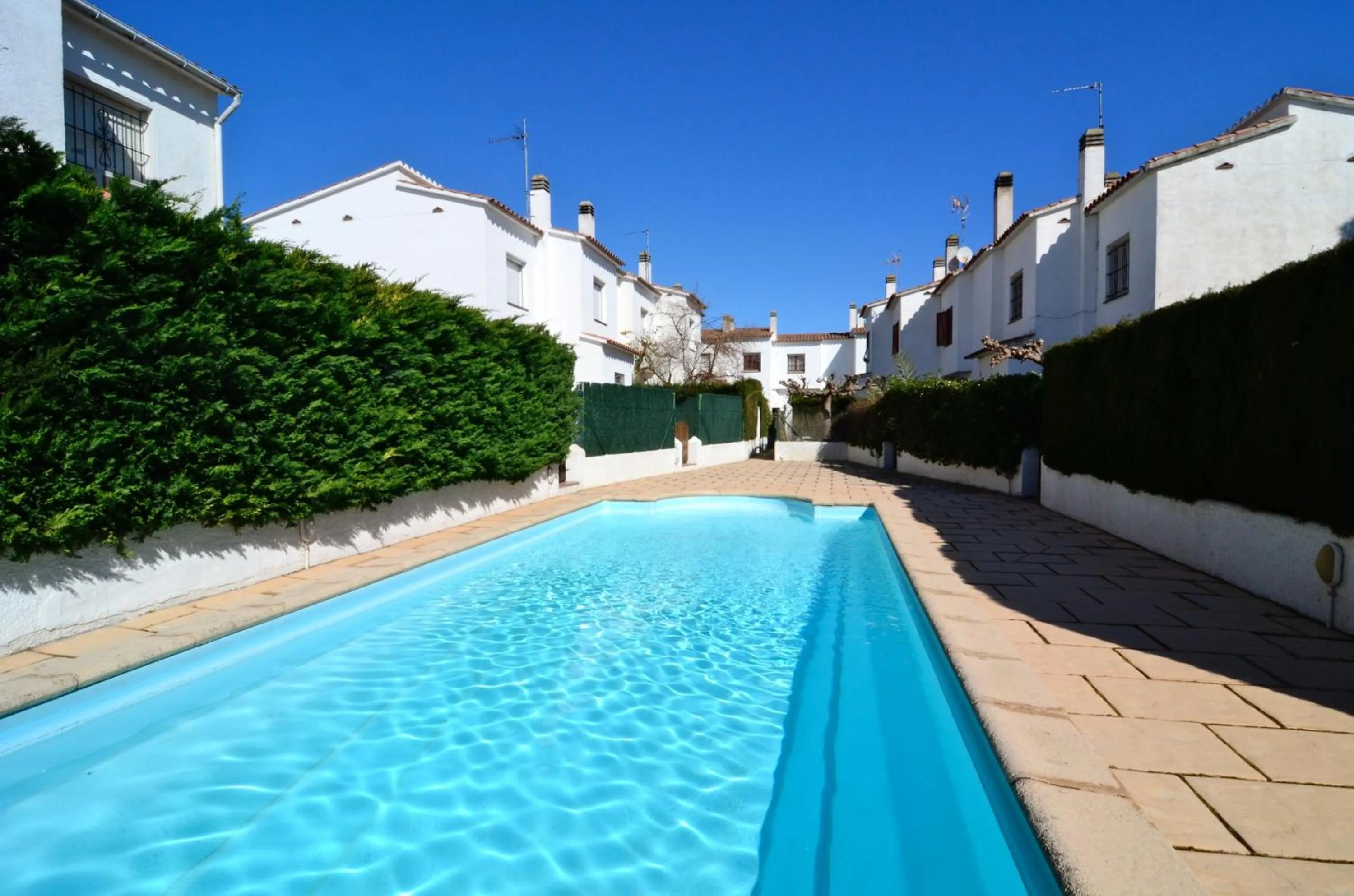 Swimming pool in Casa la Flor