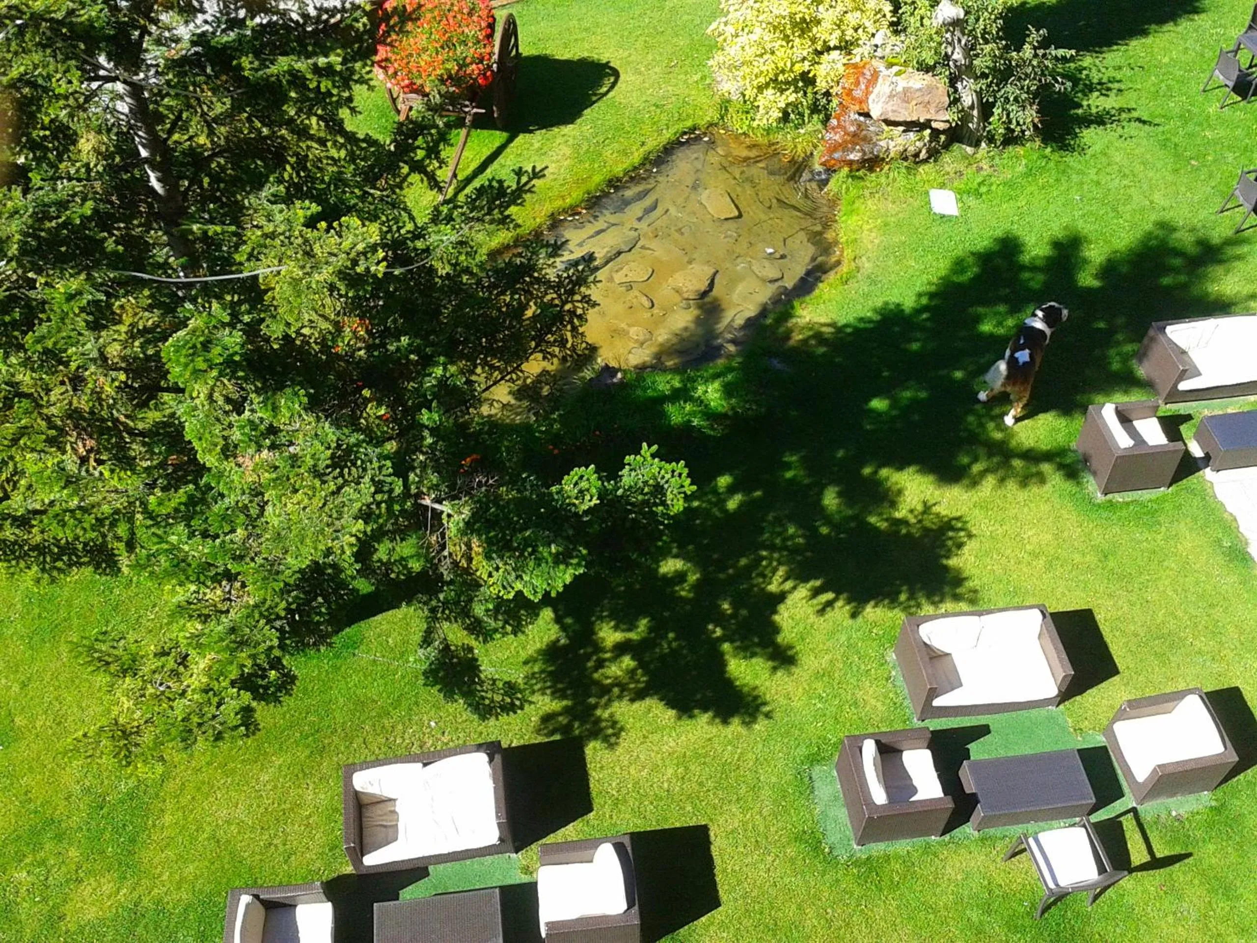 Bird's eye view in Roca Blanca