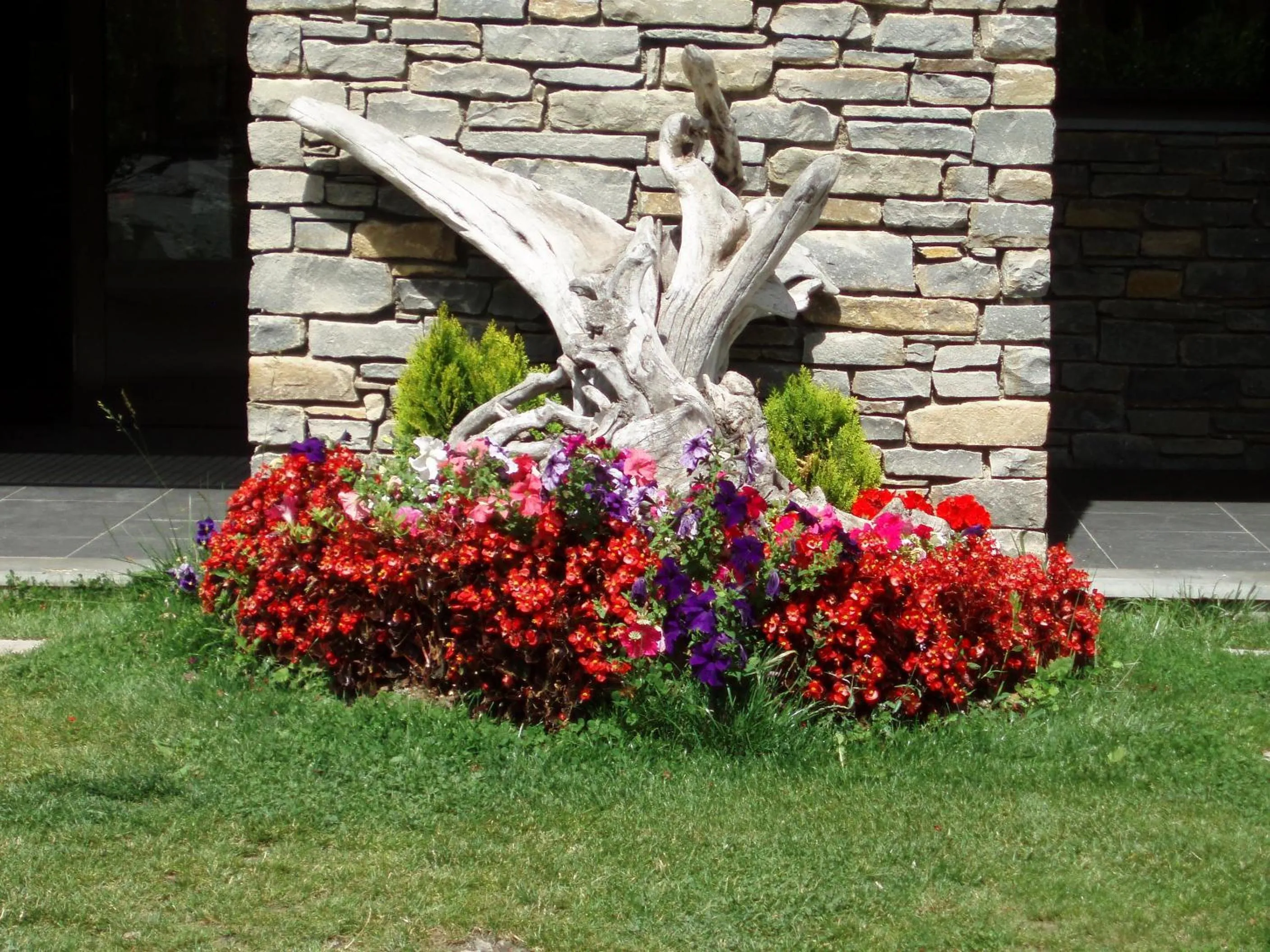 Garden in Roca Blanca