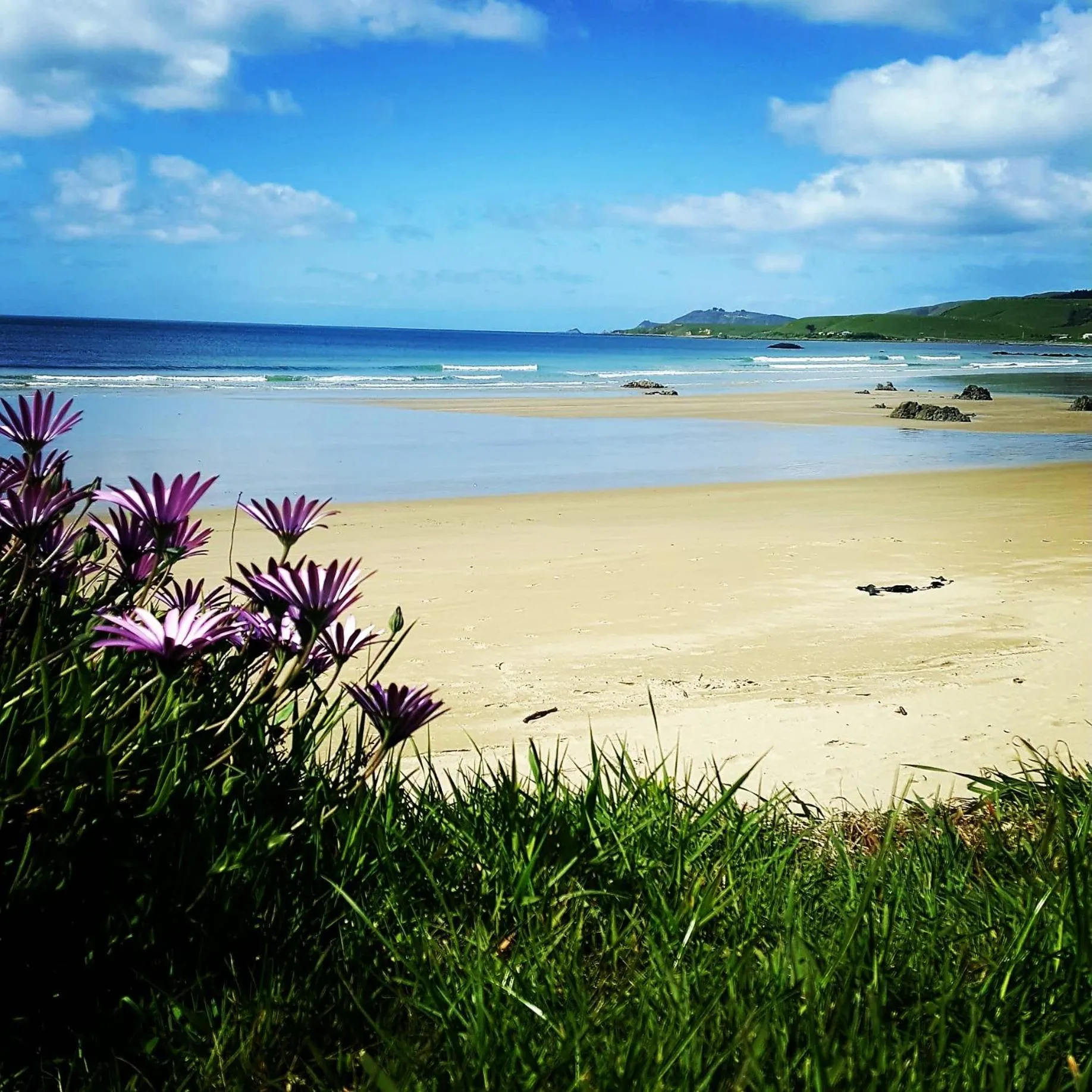 Nearby landmark in Kaka Point Spa Accommodation - Catlins